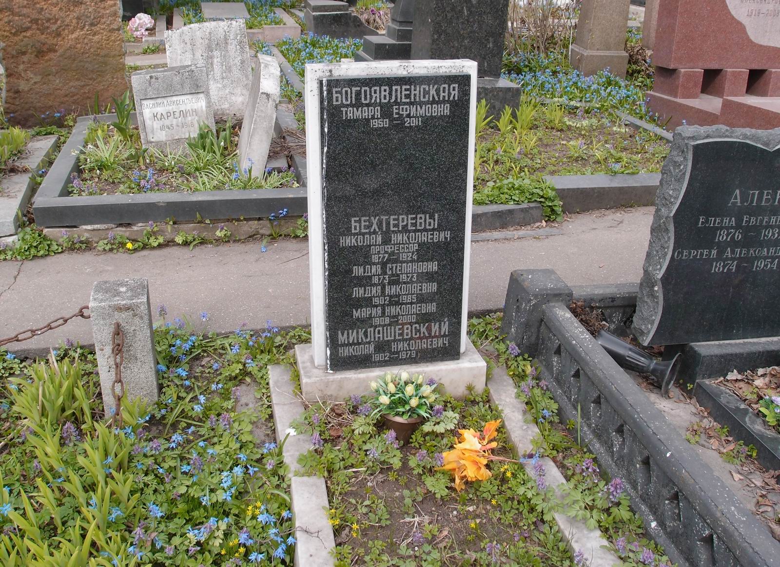 Памятник на могиле Бехтерева Н.Н. (1877–1924), на Новодевичьем кладбище (1–32–2).