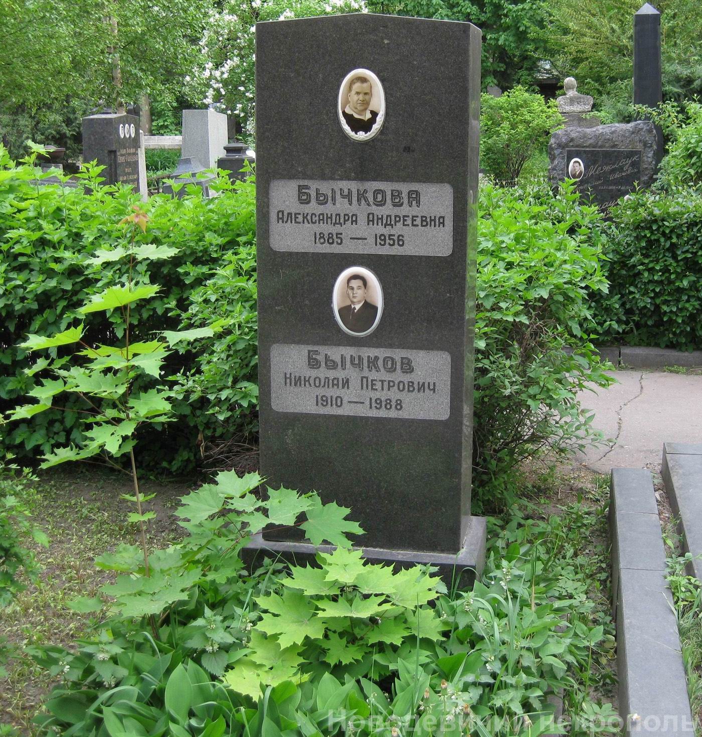 Памятник на могиле Бычковой А.А. (1885–1956), на Новодевичьем кладбище (1–43а–2).