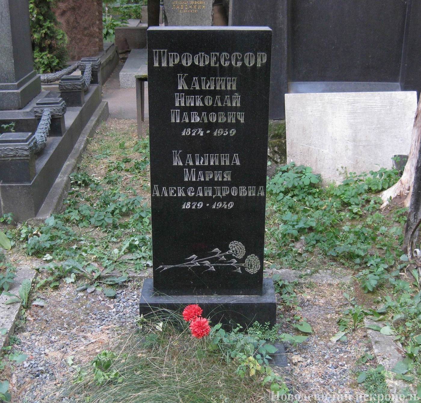 Памятник на могиле Кашина Н.П. (1874-1939), на Новодевичьем кладбище (1-1-17).