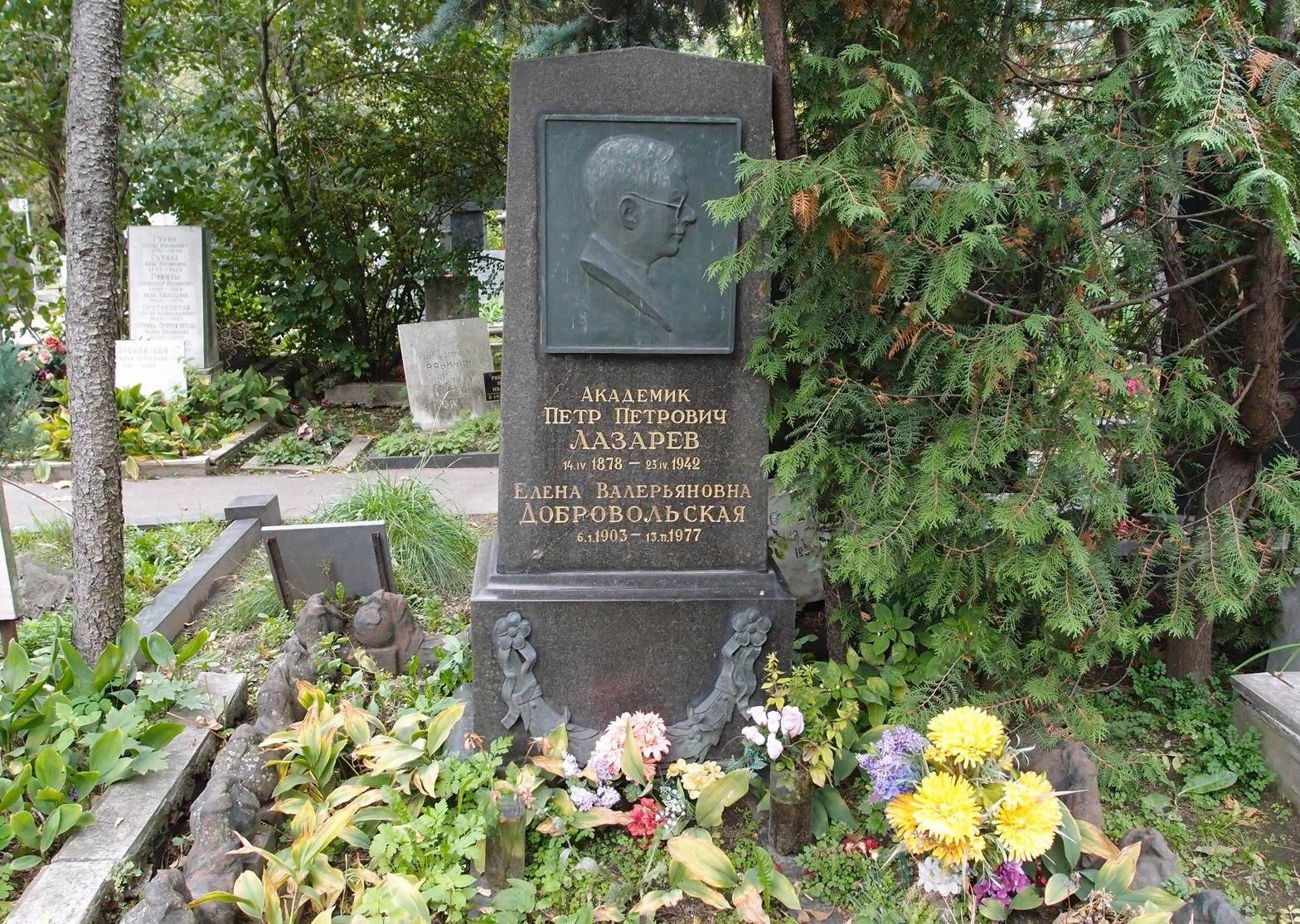 Памятник на могиле Лазарева П.П. (1878–1942), ск. О.Домогацкая, на Новодевичьем кладбище (1–8–3).