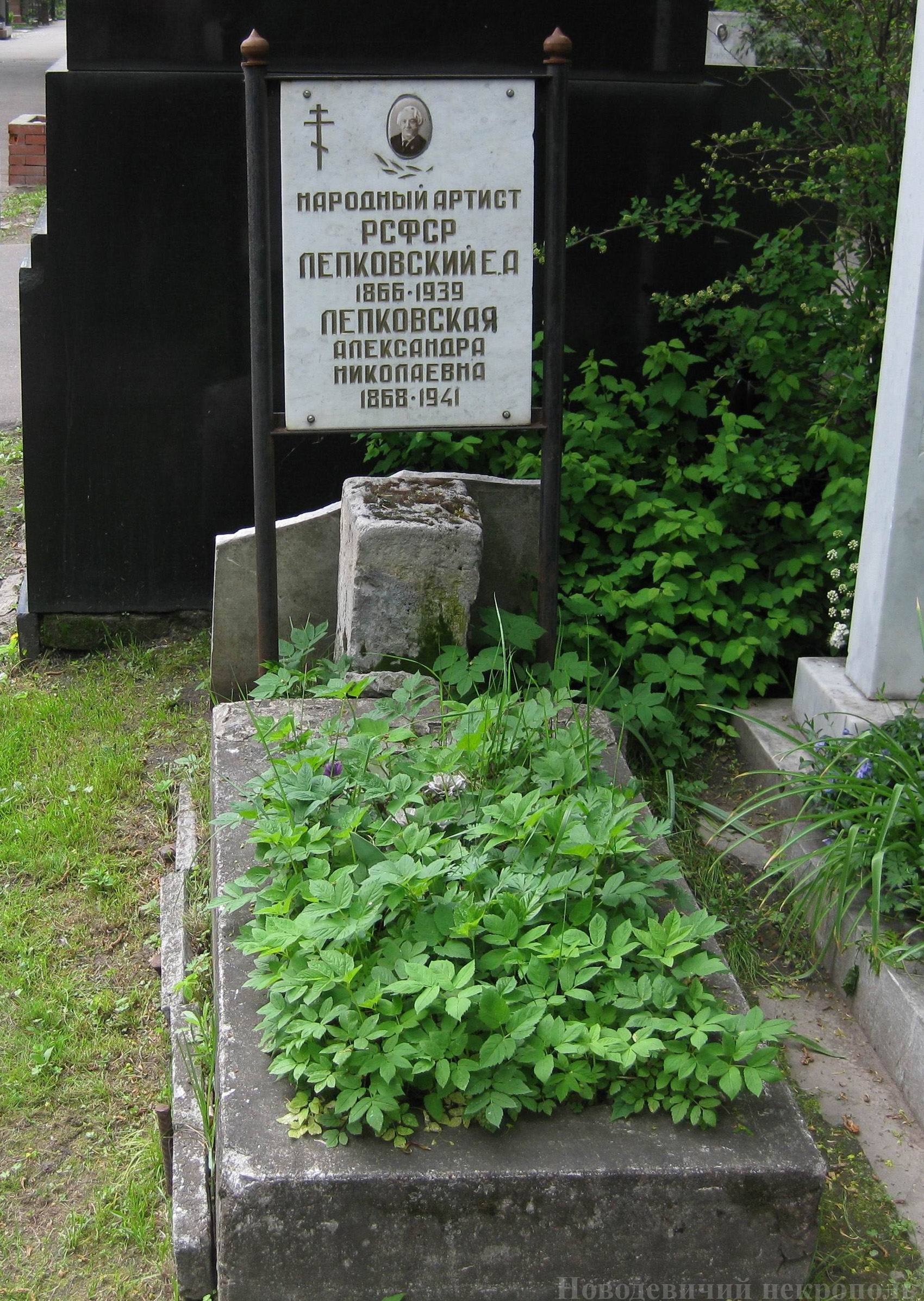 Памятник на могиле Лепковского Е.А. (1866-1939), на Новодевичьем кладбище (1-2-1).