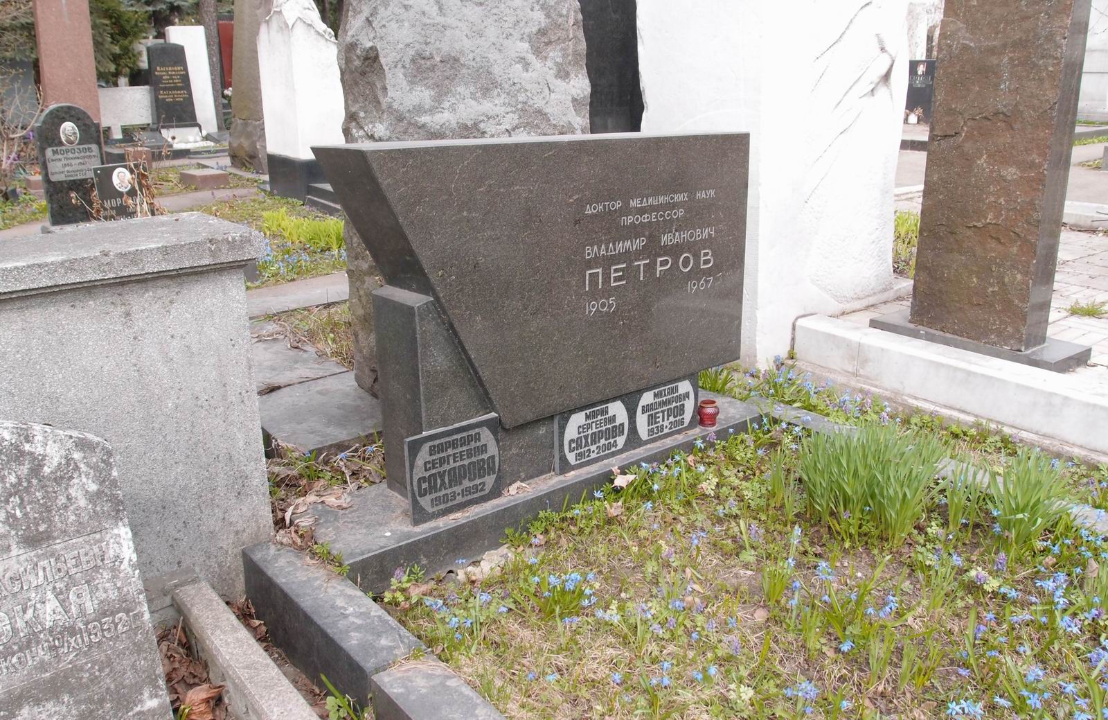 Памятник на могиле Петров В.И. (1905-1967), на Новодевичьем кладбище (1-23-8).