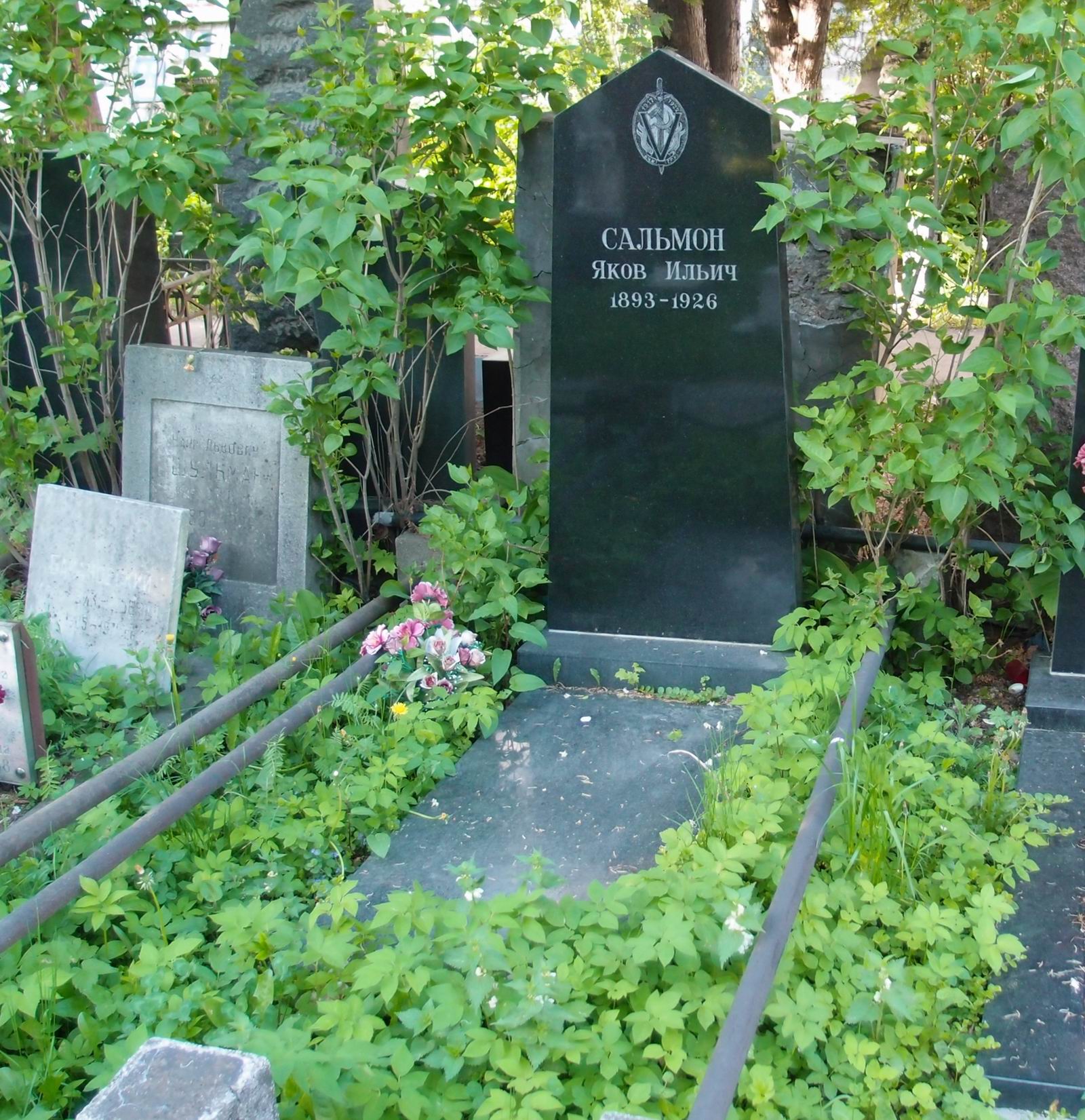 Памятник на могиле Сальмона Я.И. (1893-1926), на Новодевичьем кладбище (1-44-40).