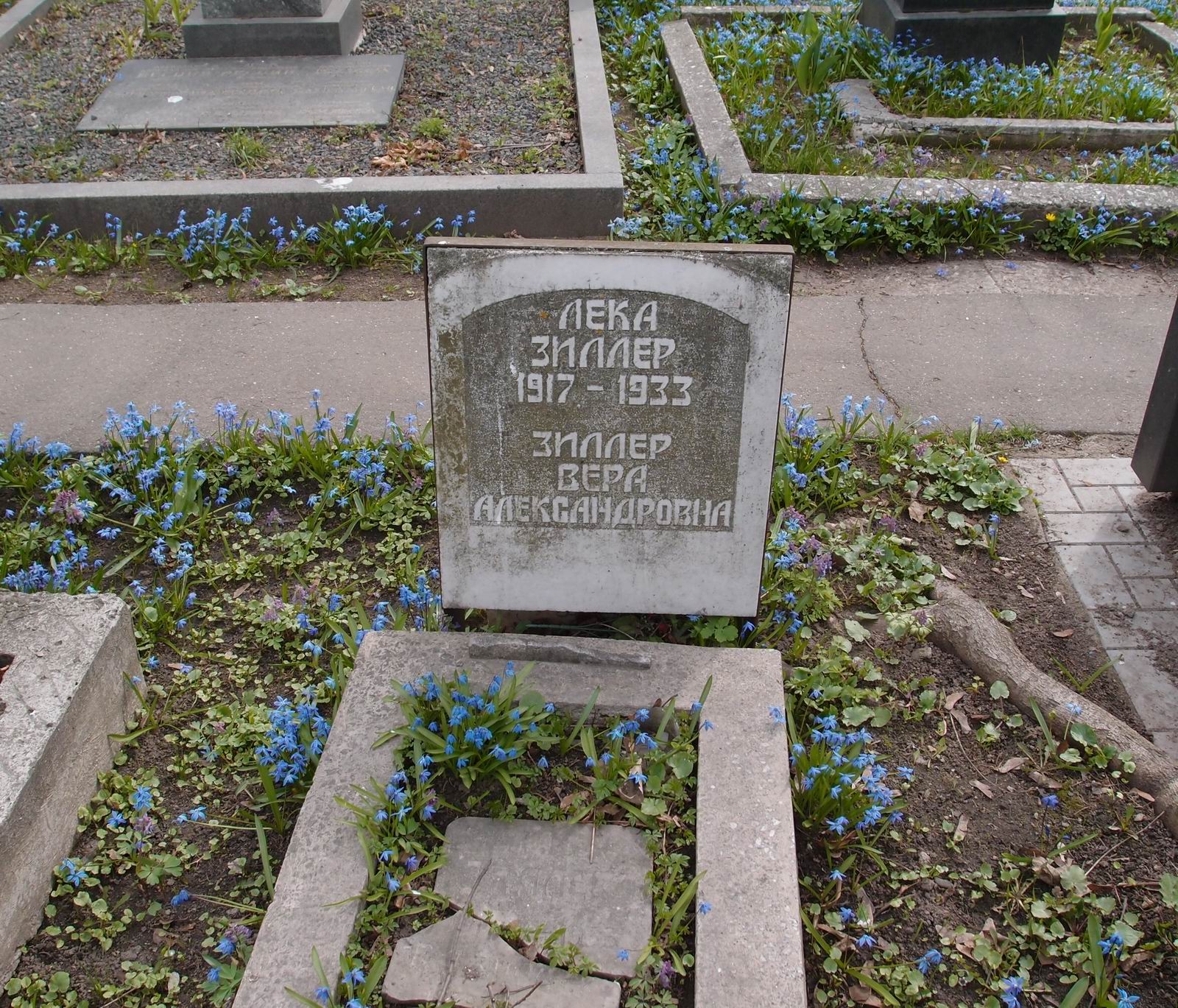 Памятник на могиле Зиллер В.А. (?–1954), на Новодевичьем кладбище (1–32а–1).