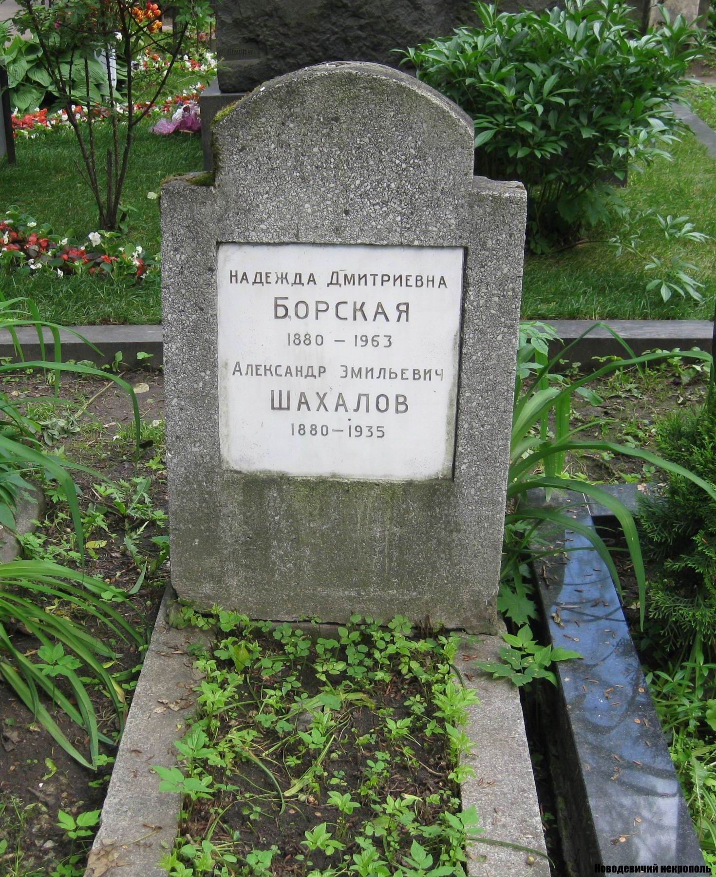 Памятник на могиле Борской Н.Д. (1880–1963), на Новодевичьем кладбище (2–21–2).