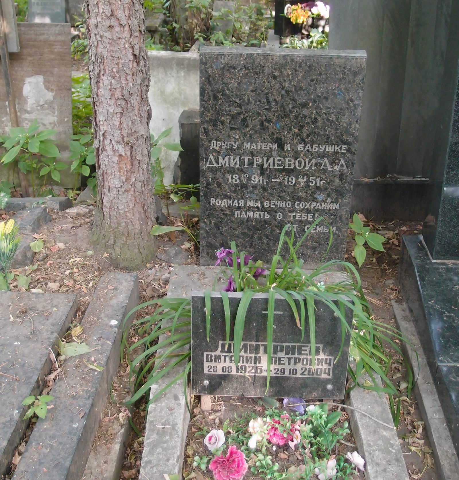Памятник на могиле Дмитриевой А.А. (1891-1951), на Новодевичьем кладбище (2-5-8).
