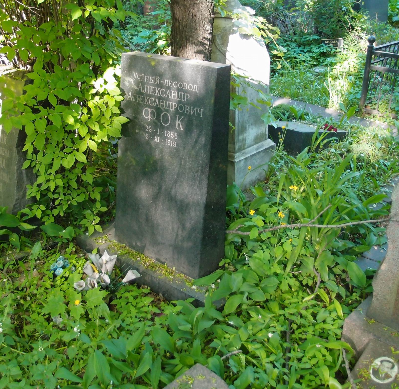 Памятник на могиле Фока А.А. (1858-1919), на Новодевичьем кладбище (2-36-21).
