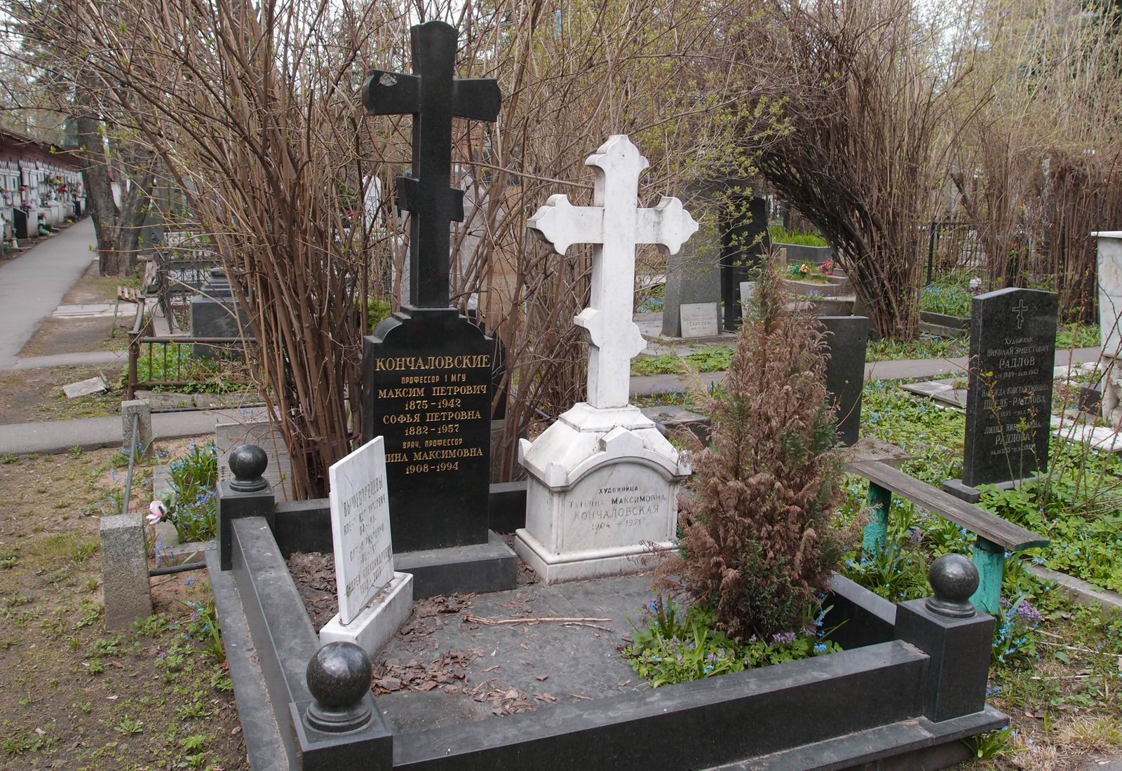 Памятник на могиле Кончаловского М.П. (1875–1942), на Новодевичьем кладбище (2–27–24).