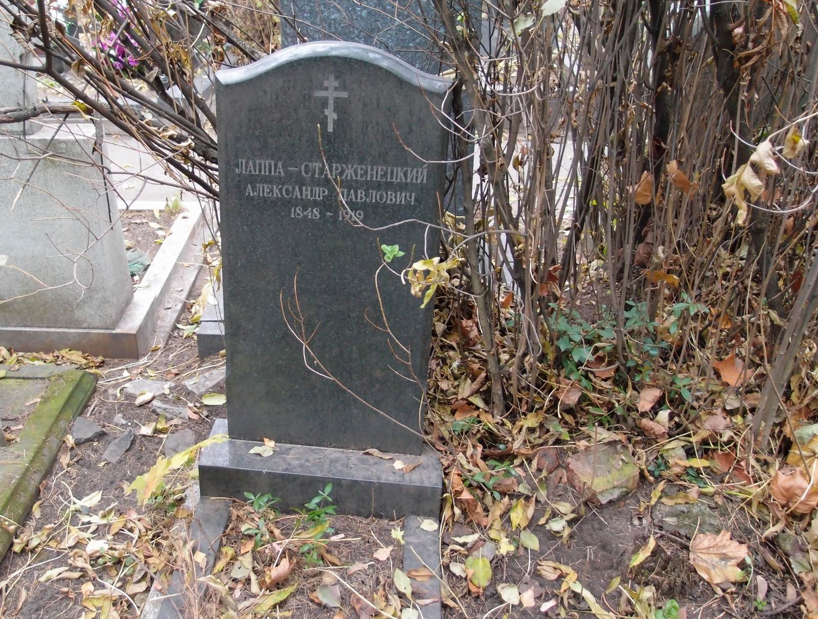 Памятник на могиле Лаппы-Старженецкого А.П. (1848–1919), на Новодевичьем кладбище (2–33–7).