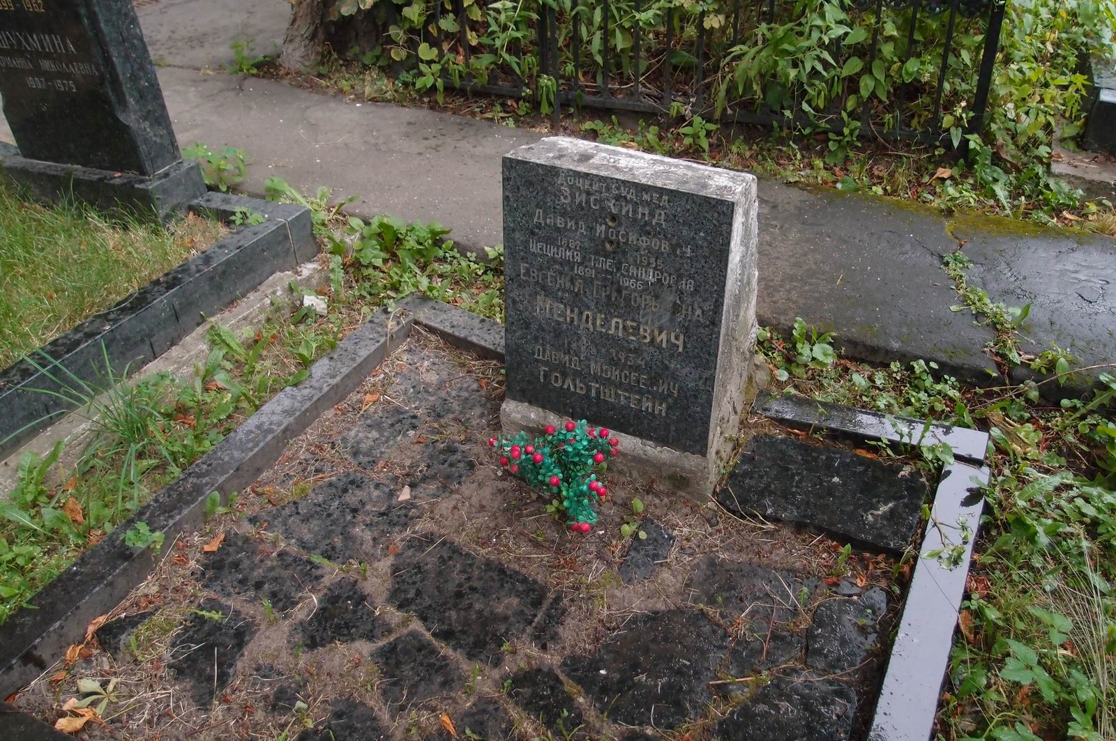 Памятник на могиле Менделевич Е.Г. (1888–1934), на Новодевичьем кладбище (2–4–21).