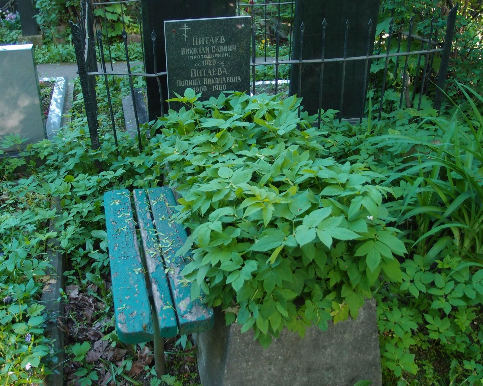 Памятник на могиле Питаева Н.С. (?–1920), на Новодевичьем кладбище (2–36–16).