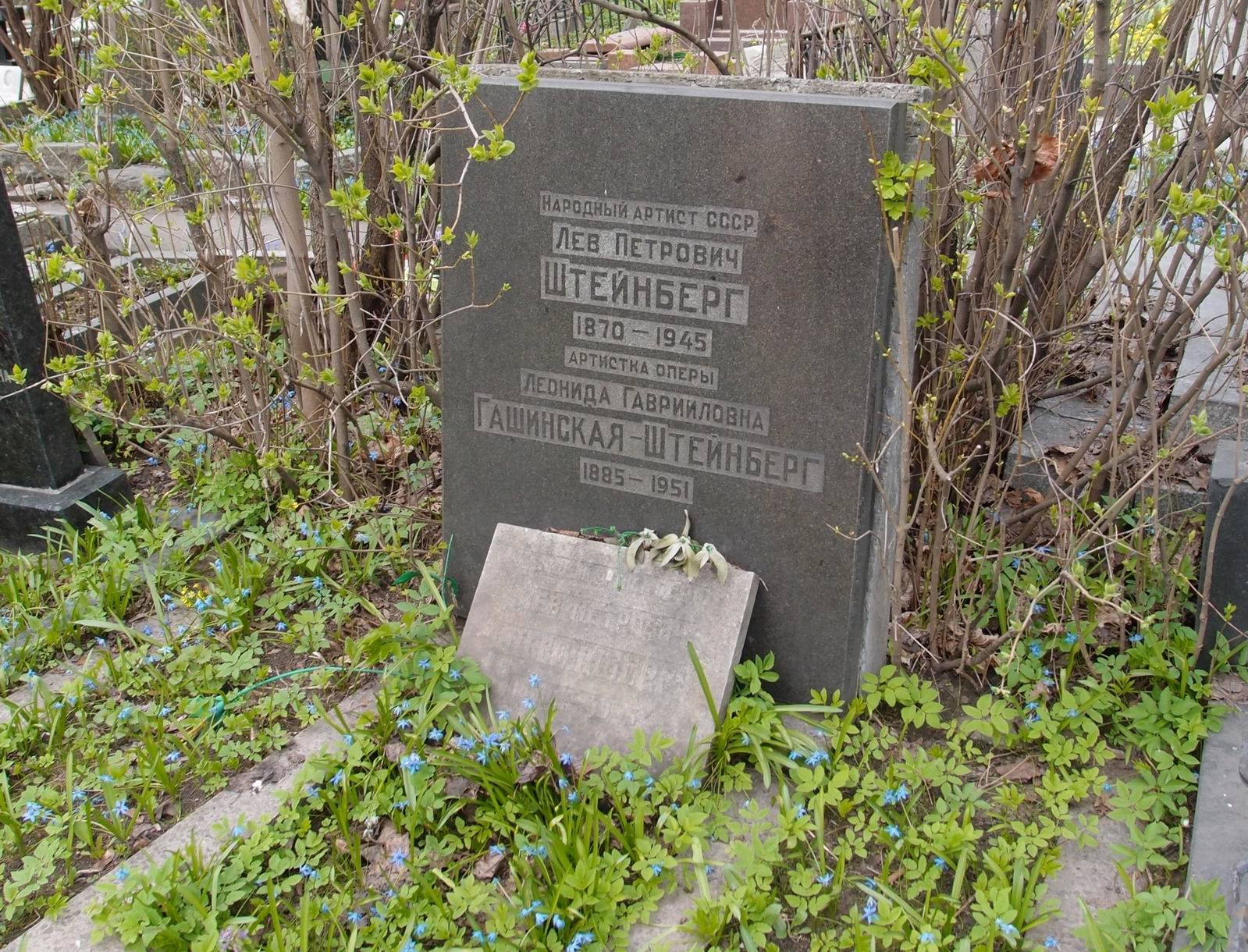 Памятник на могиле Штейнберга Л.П. (1870–1945), на Новодевичьем кладбище (2–25–2).
