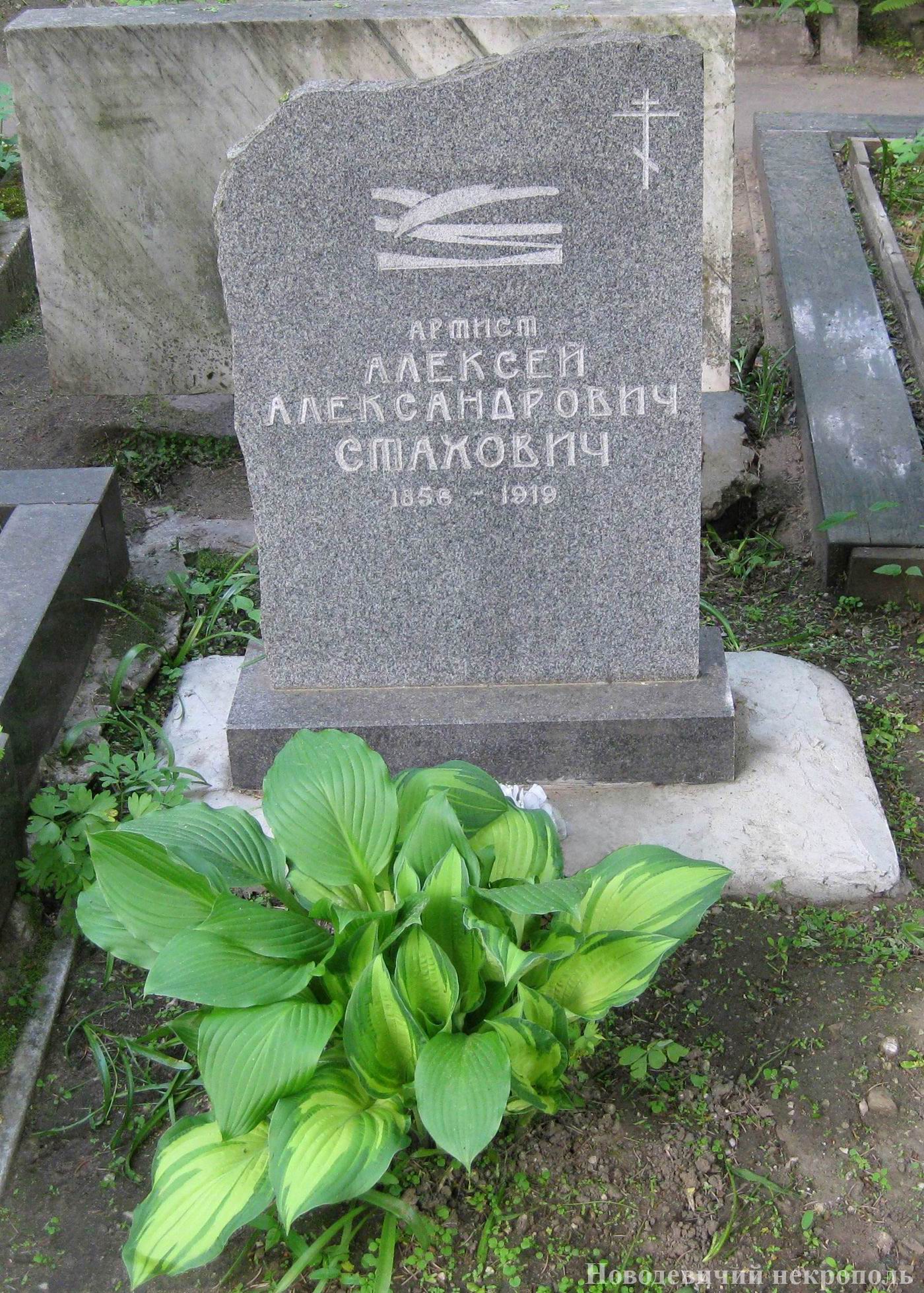 Памятник на могиле Стаховича А.А. (1856–1919), на Новодевичьем кладбище (2–11–7).