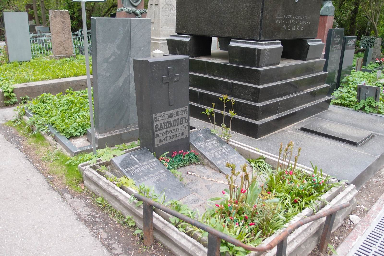 Памятник на могиле Вавилова С.Г. (1856–1904), на Новодевичьем кладбище (2–1–1).