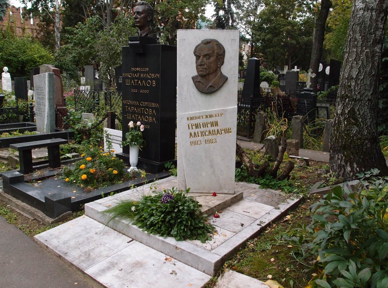 Памятник на могиле Александрова Г.В. (1903–1983), на Новодевичьем кладбище (3–16–3).
