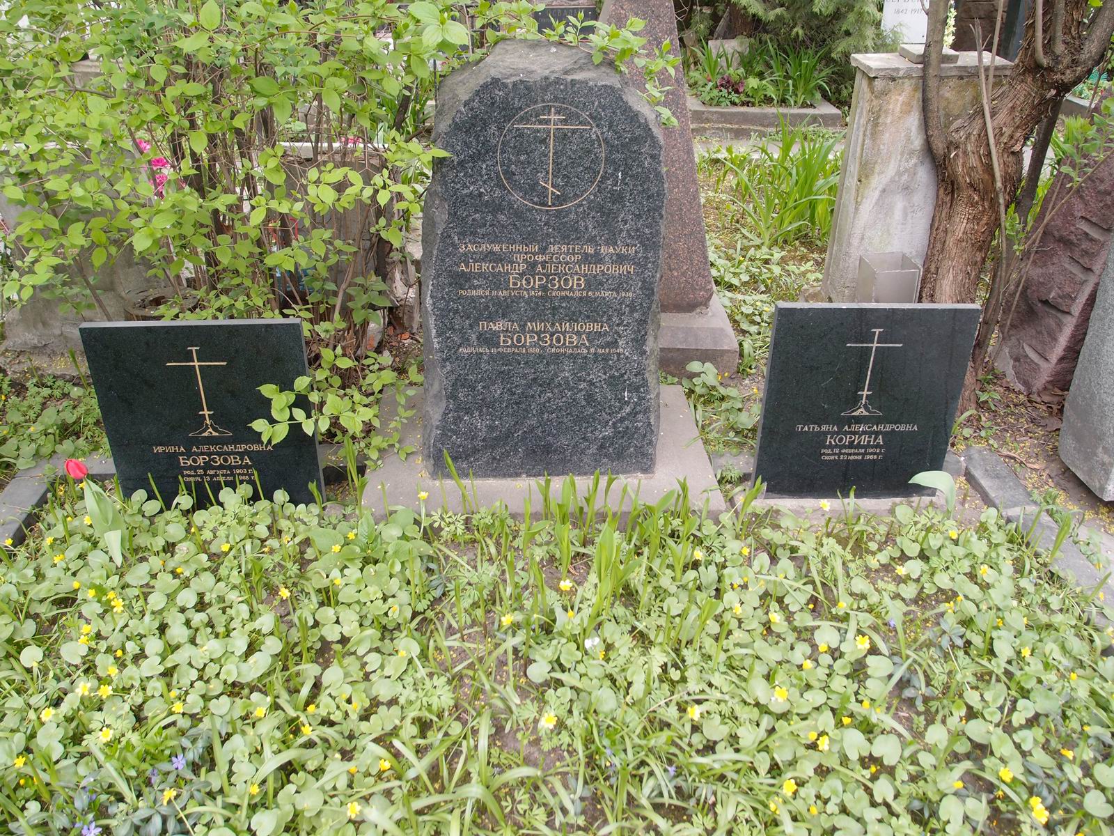 Памятник на могиле Борзова А.А. (1874-1939), на Новодевичьем кладбище (3-40-5).