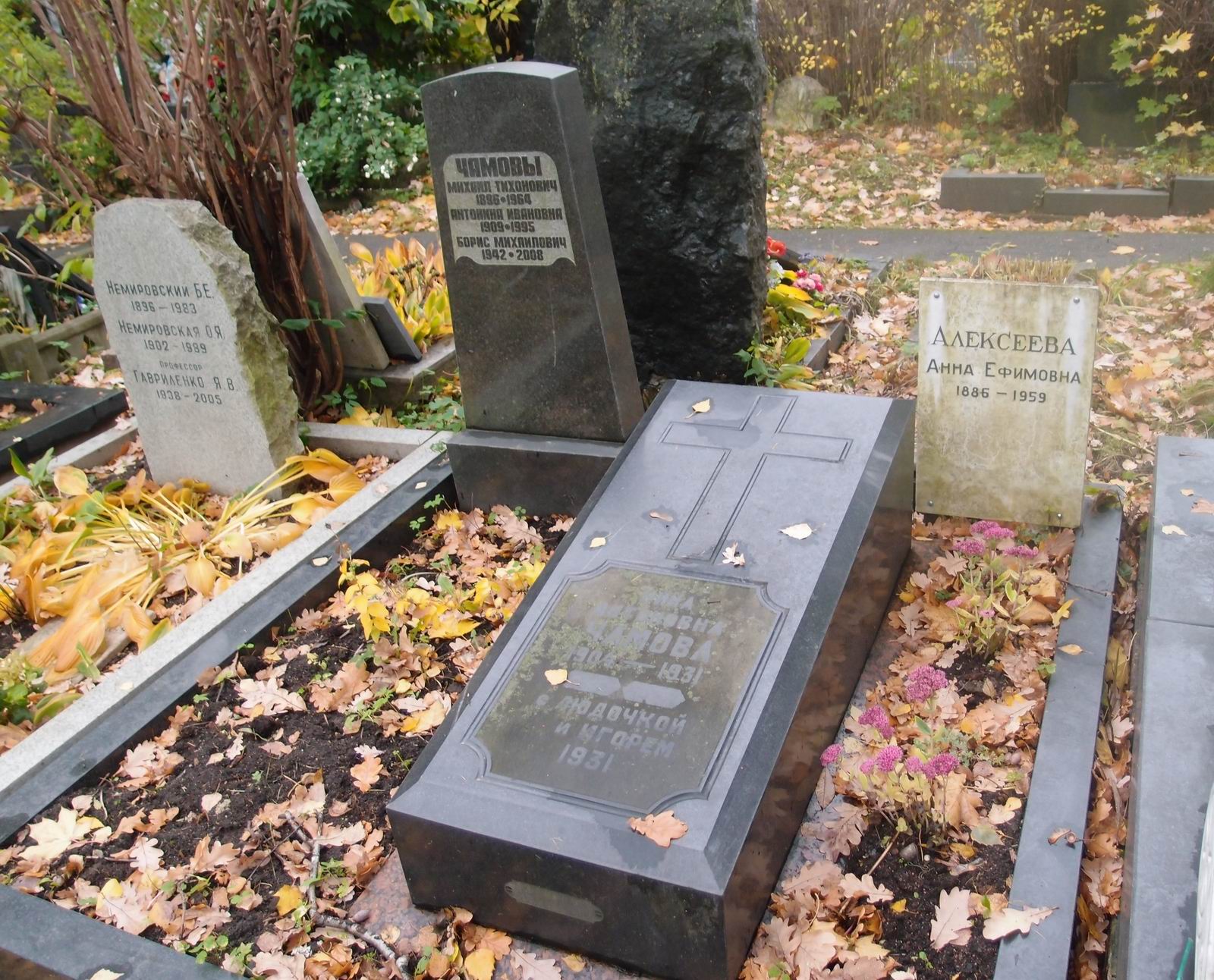 Памятник на могиле Чамова М.Т. (1896-1964), на Новодевичьем кладбище (3-10-8).