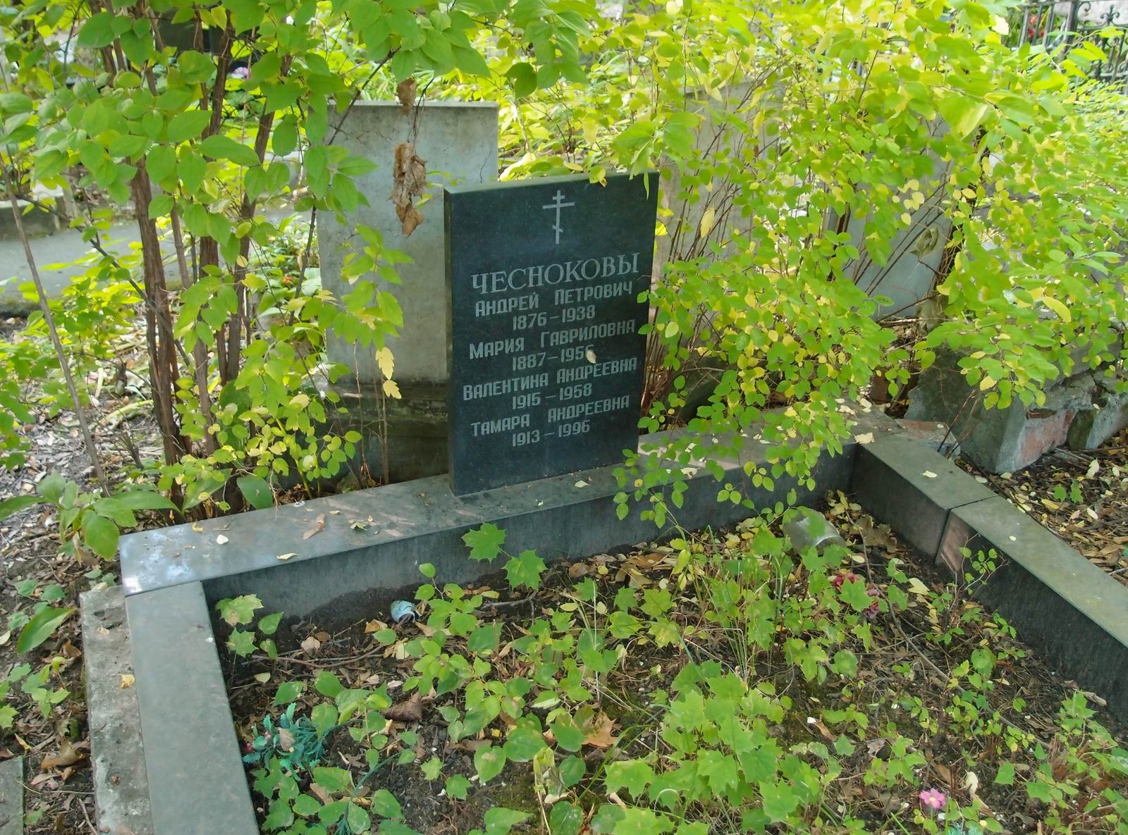 Памятник на могиле Чеснокова А.П. (1876-1938), на Новодевичьем кладбище (3-37-6).