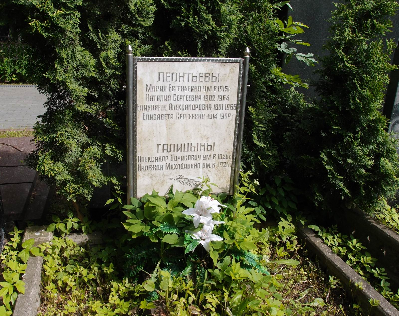 Памятник на могиле Голицына А.Б. (1855-1920), на Новодевичьем кладбище (3-2-16).