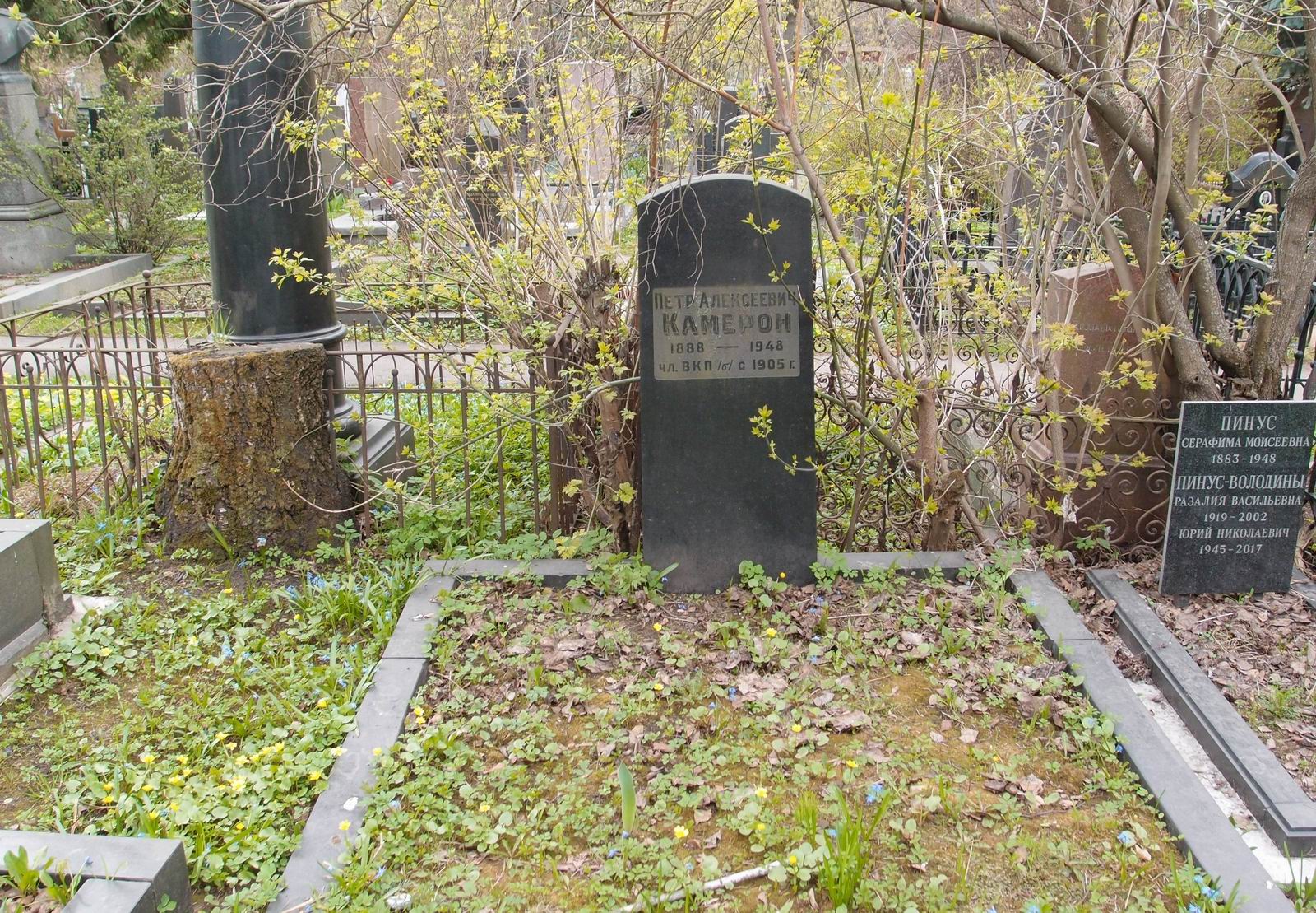 Памятник на могиле Камерона П.А. (1888–1948), на Новодевичьем кладбище (3–64–18а).