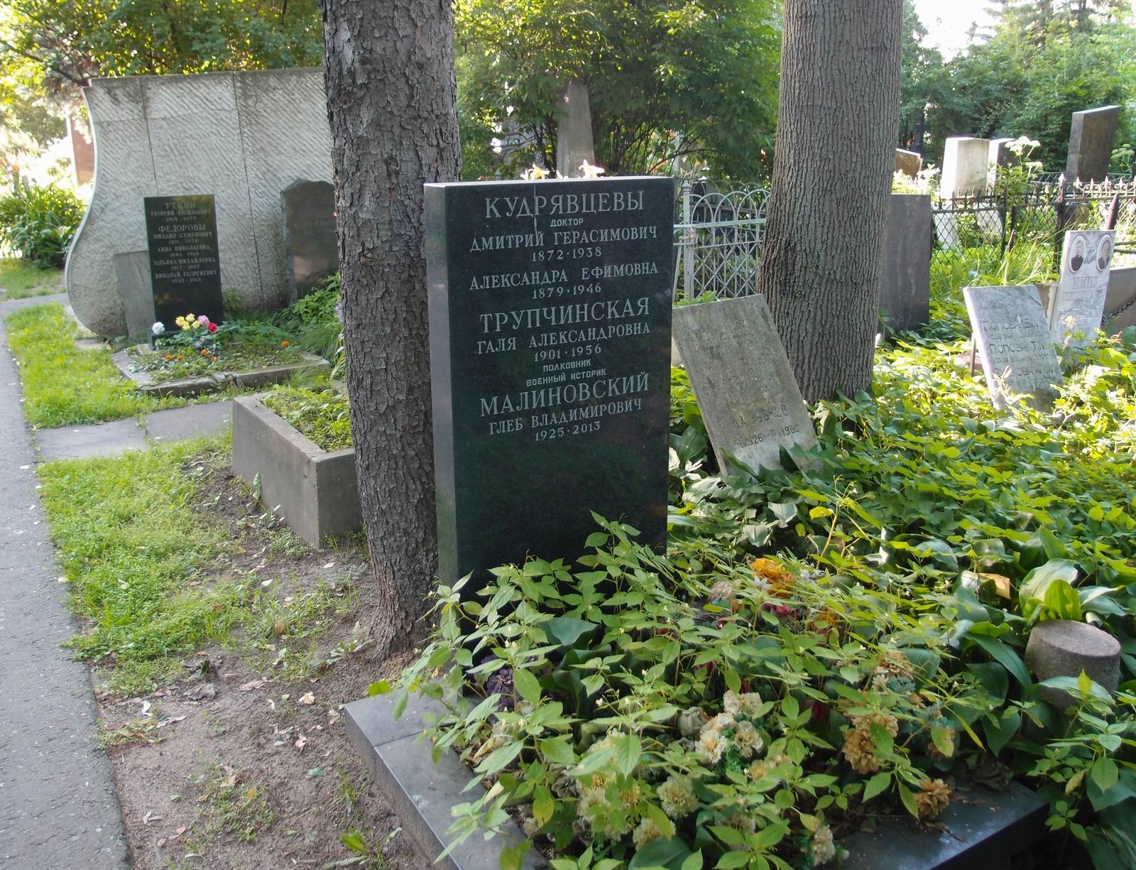 Памятник на могиле Кудрявцеву Д.Г. (1872-1938), на Новодевичьем кладбище (3-11-1).