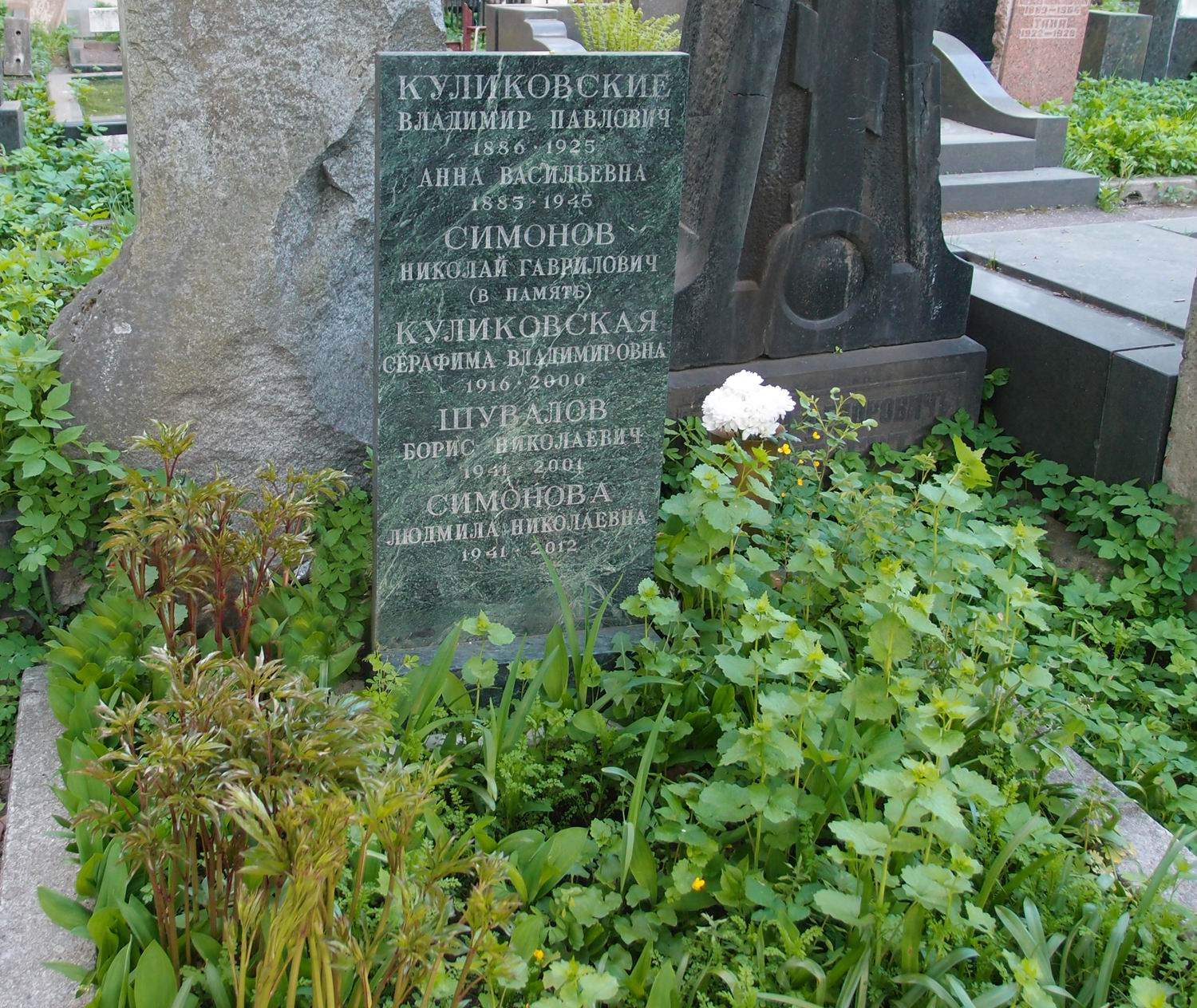 Памятник на могиле Куликовского В.П. (1886-1925), на Новодевичьем кладбище (3-6-13).