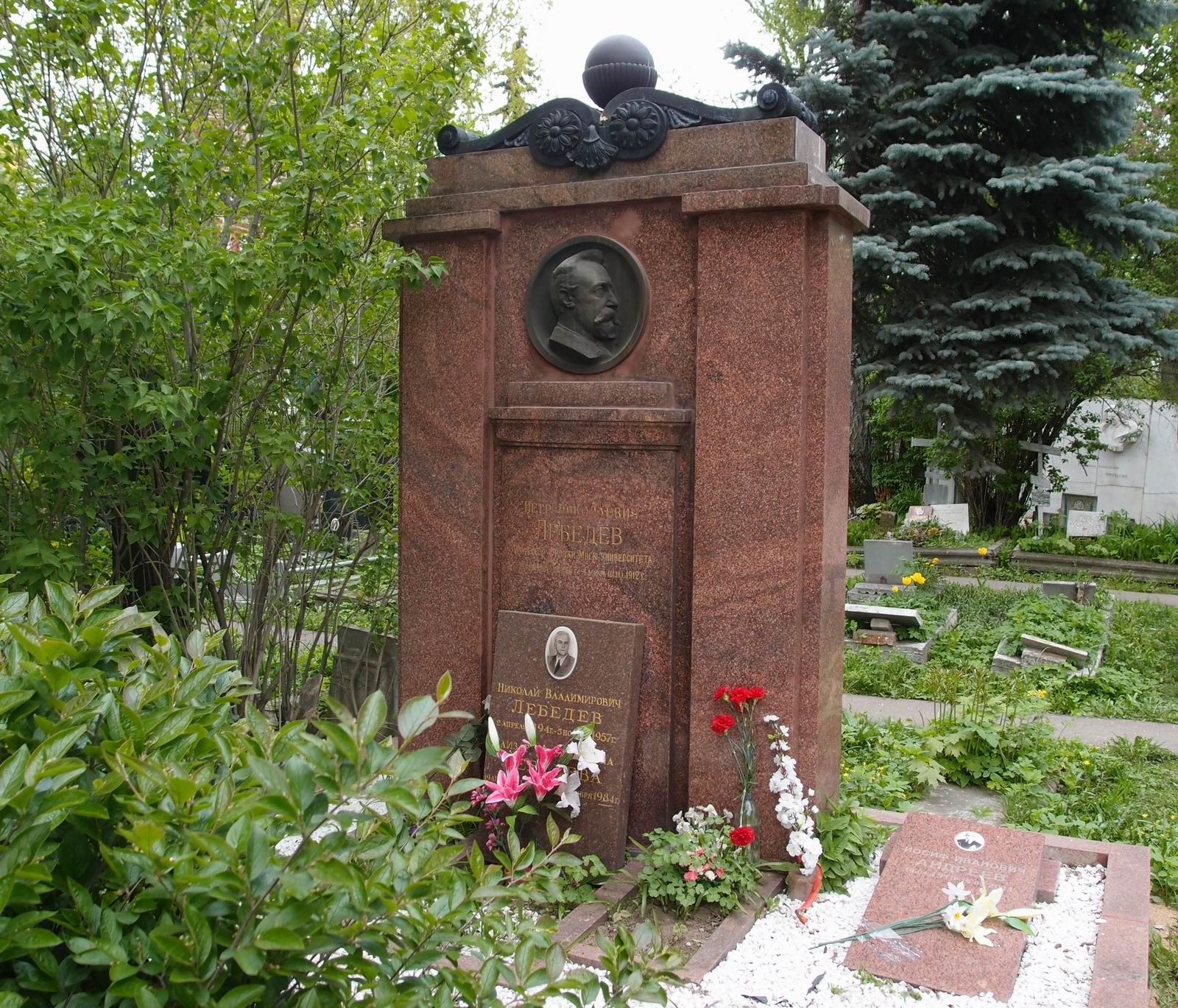 Памятник на могиле Лебедева П.Н. (1866-1912), ск. Н.Андреев, арх. А.Голубев, на Новодевичьем кладбище (3-20-1). Нажмите левую кнопку мыши чтобы увидеть фрагмент памятника крупно.
