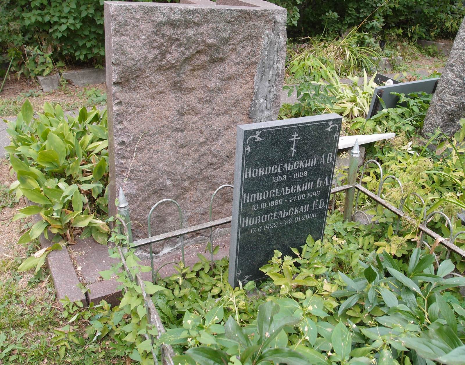 Памятник на могиле Новосельского А. В. (1863-1923), на Новодевичьем кладбище (3-5-1).