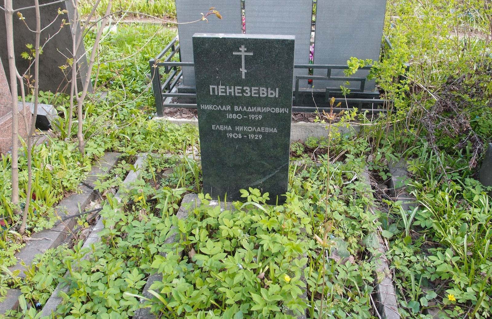 Памятник на могиле Пенезева Н.В. (1880–1959), на Новодевичьем кладбище (3–50–10).
