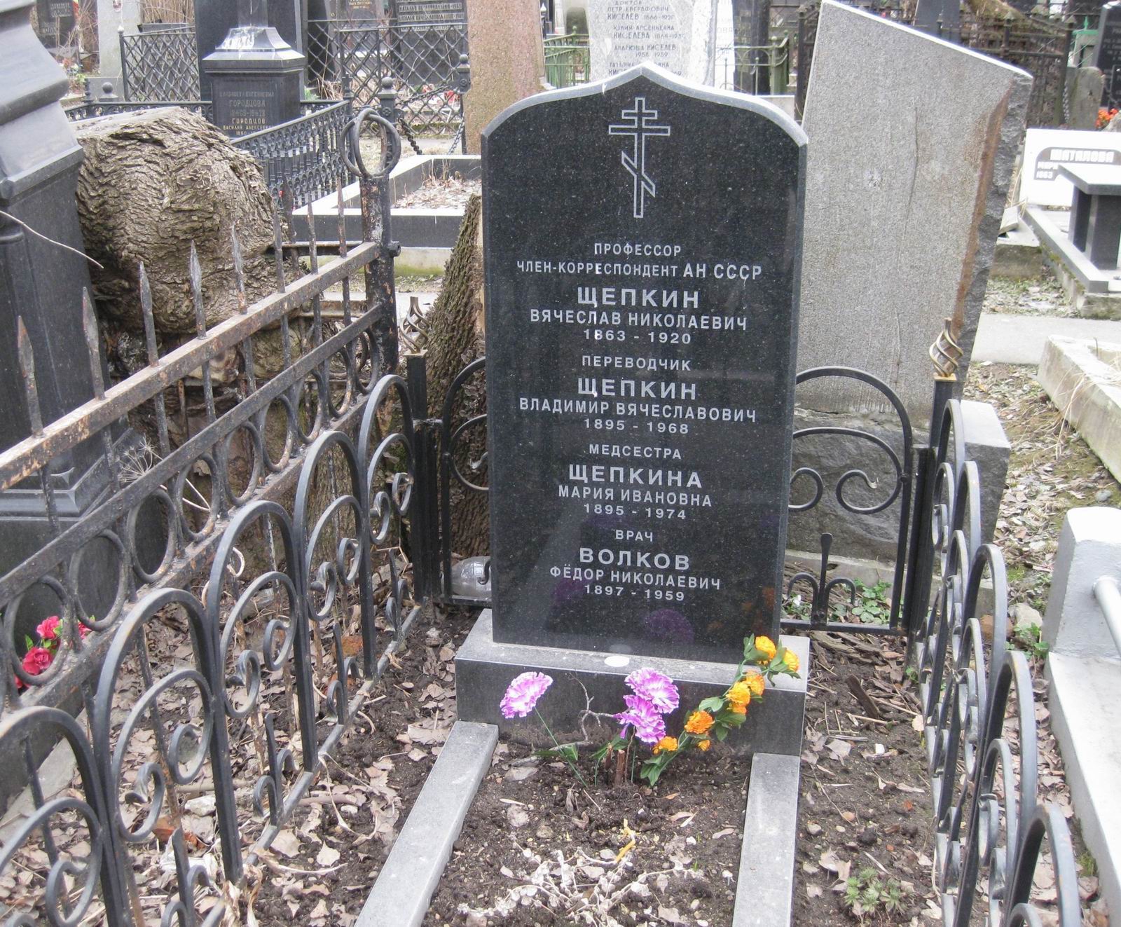 Памятник на могиле Щепкина В.Н. (1863–1920), на Новодевичьем кладбище (3–18–5).
