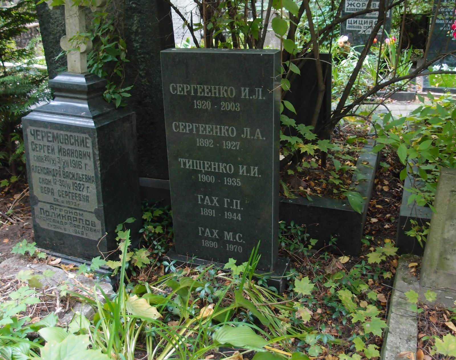Памятник на могиле Сергеенко Л.А. (1892–1927), на Новодевичьем кладбище (3–48–8).