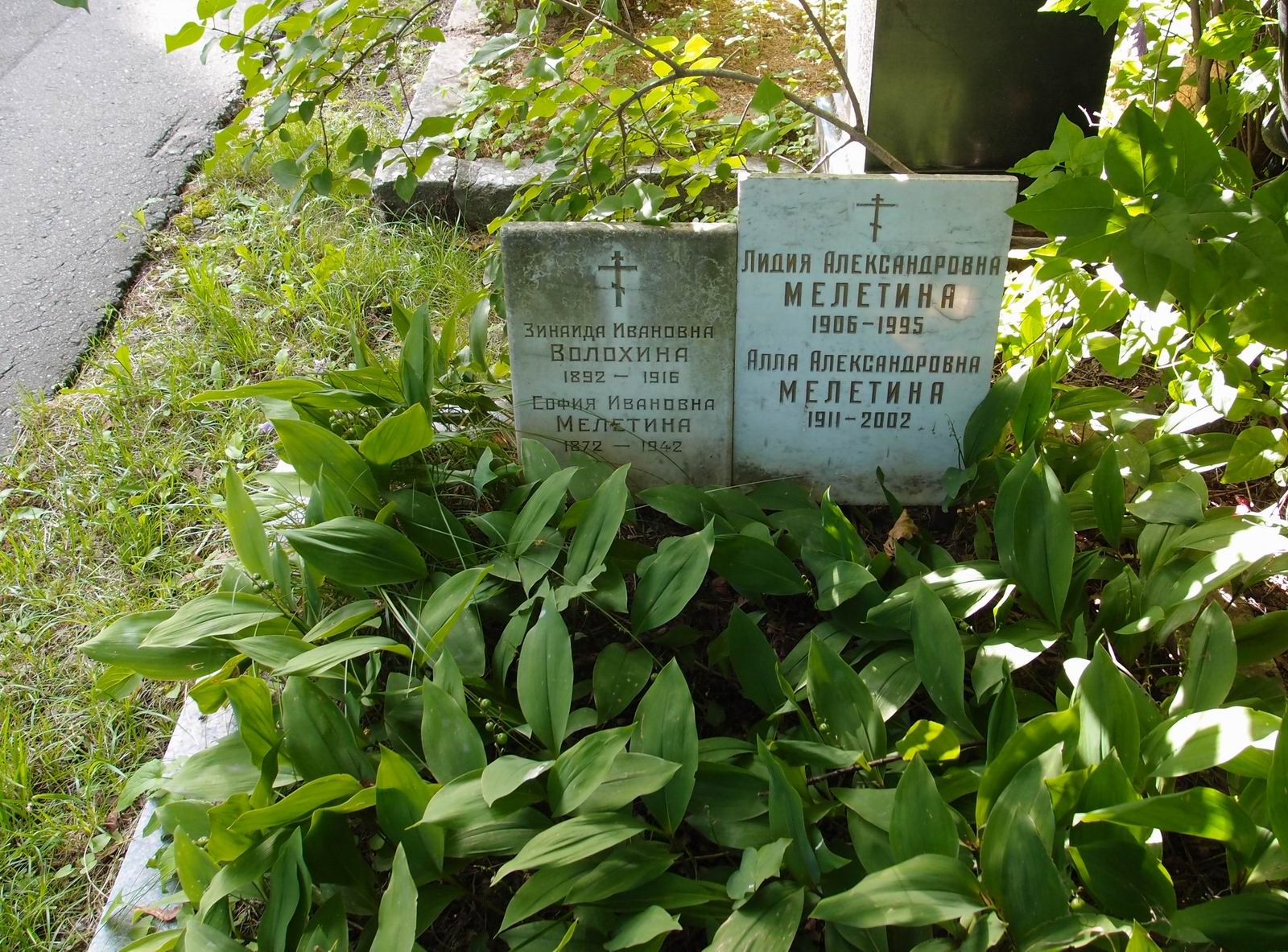 Памятник на могиле Волохиной З.И. (1892-1916), на Новодевичьем кладбище (3-43-1).