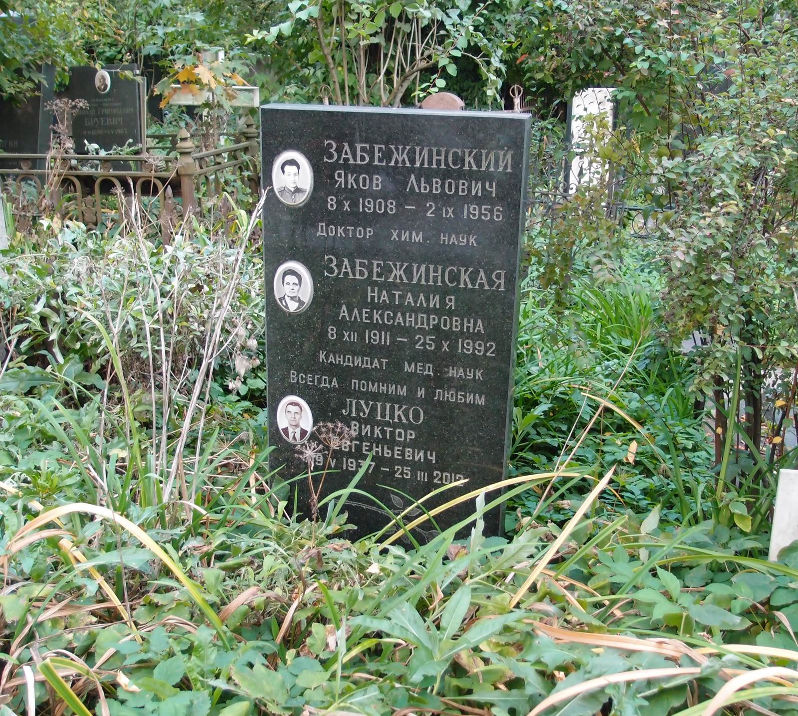 Памятник на могиле Забежинского Я.Л. (1908–1956), на Новодевичьем кладбище (3–22–4).