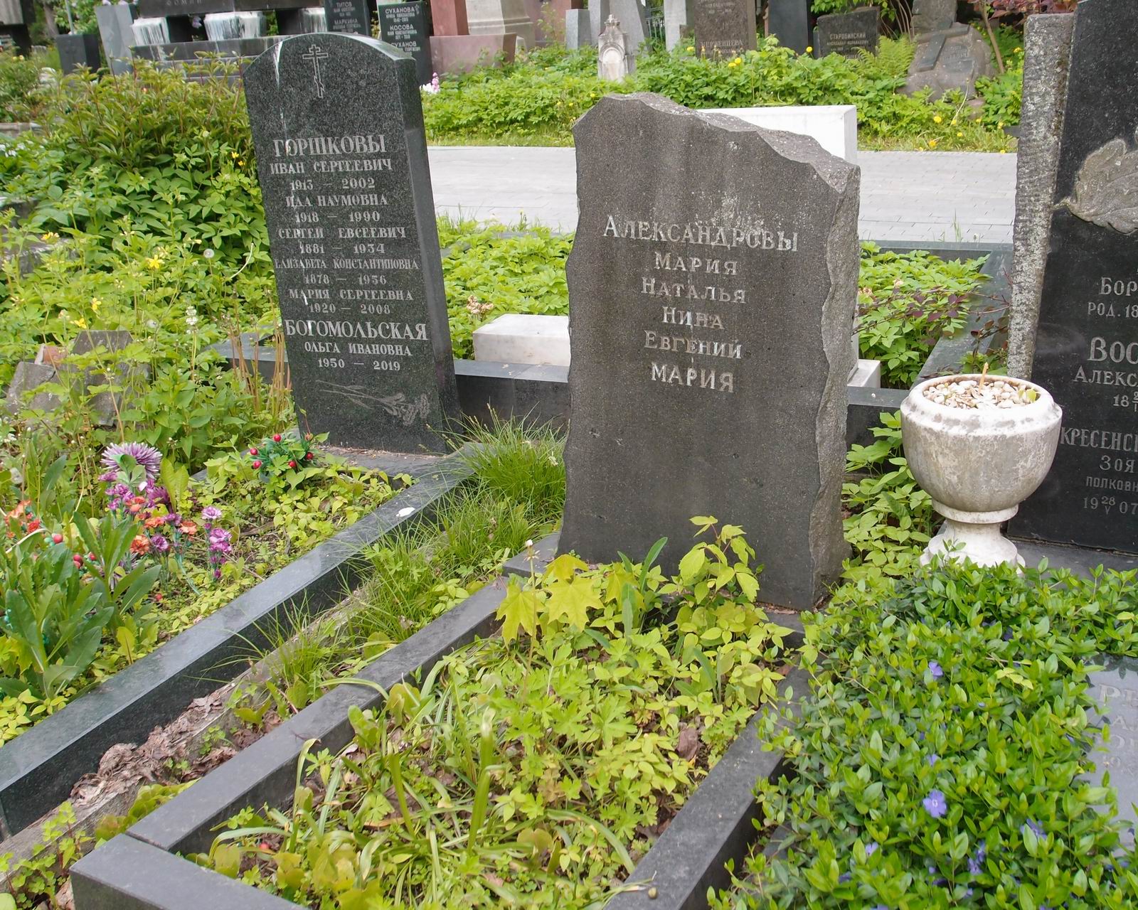 Памятник на могиле Александровой Н.И. (?–1920), на Новодевичьем кладбище (4–2–8).