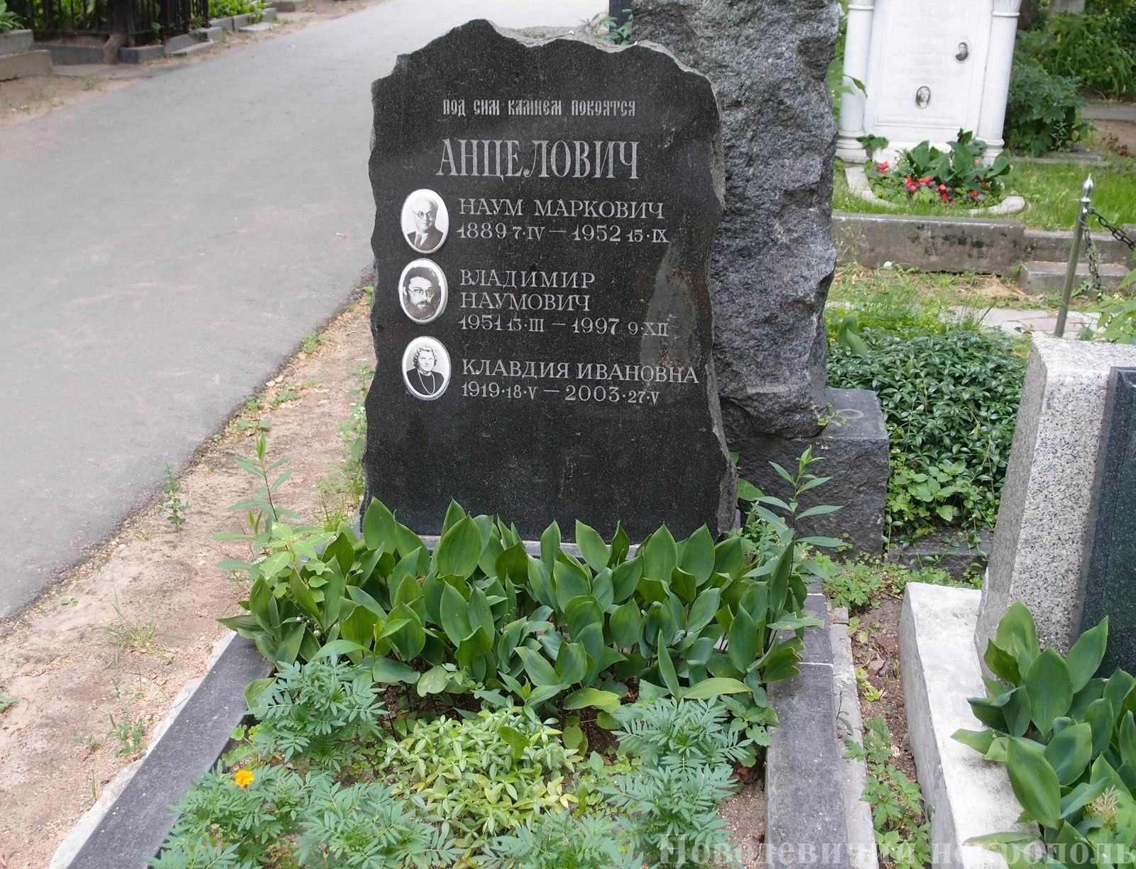 Памятник на могиле Анцеловича Н.М. (1888-1952), на Новодевичьем кладбище (4-14-1).