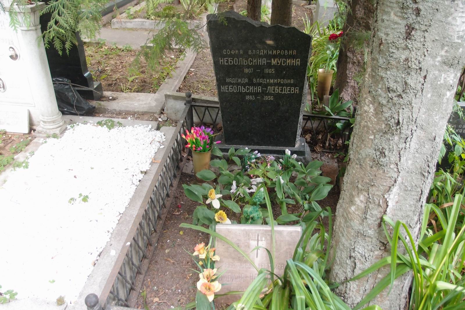 Памятник на могиле Бибиной-Небольсиной О.Г. (1875–1950), на Новодевичьем кладбище (4–12–3).