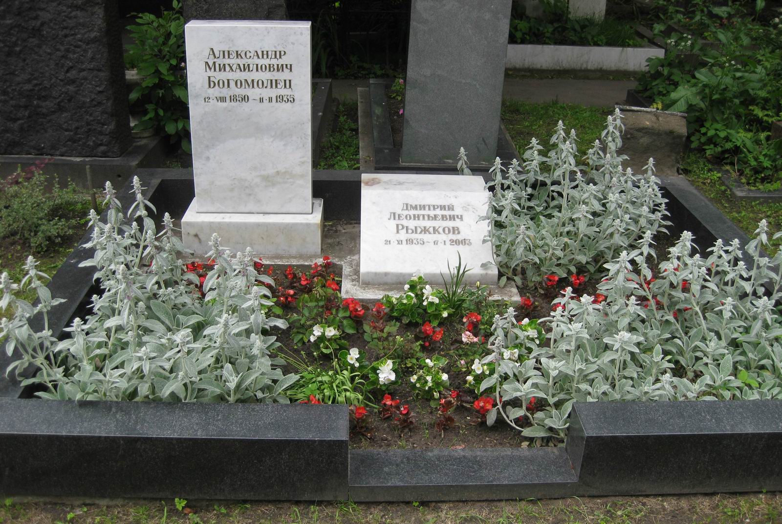 Памятник на могиле Богомольца А.М. (1850–1935), на Новодевичьем кладбище (4–1–4).