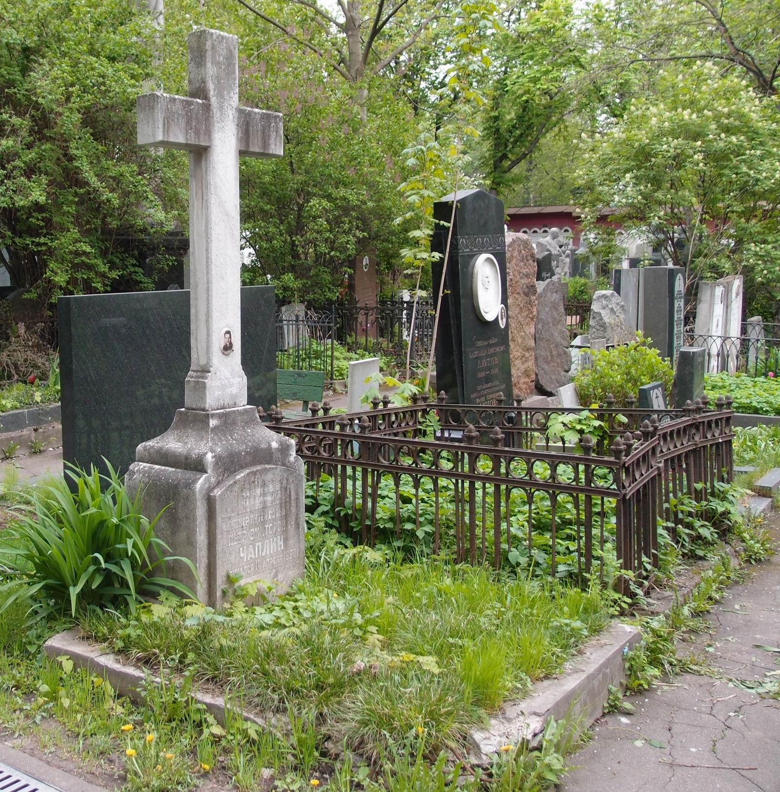 Памятник на могиле Чаплина П.В. (?-1920), на Новодевичьем кладбище (4-29-1).