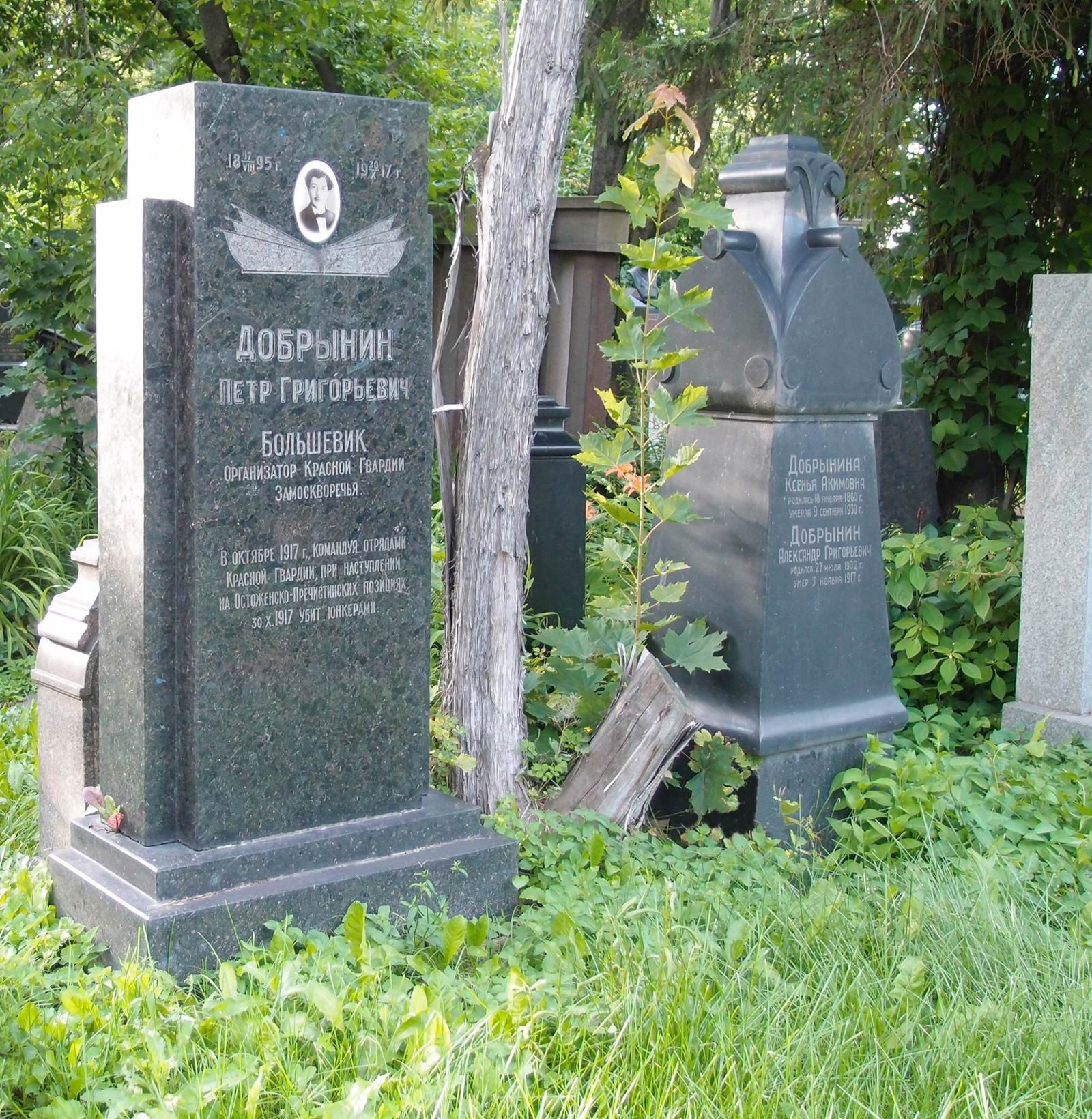 Памятник на могиле Добрынина П.Г. (1895–1917), на Новодевичьем кладбище (4–3–17).