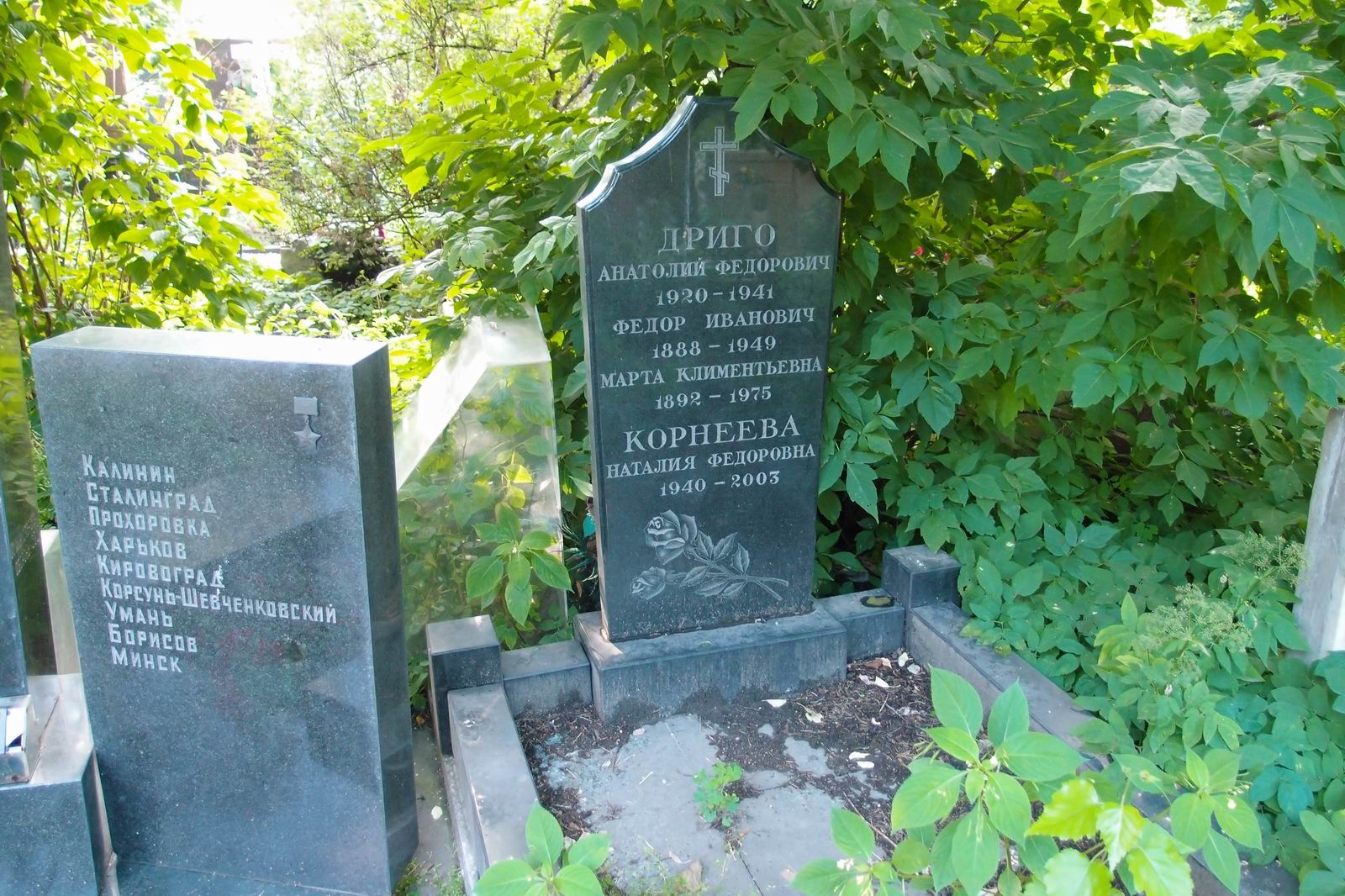 Памятник на могиле Дриго Ф.И. (1888–1949), на Новодевичьем кладбище (4–44–18).