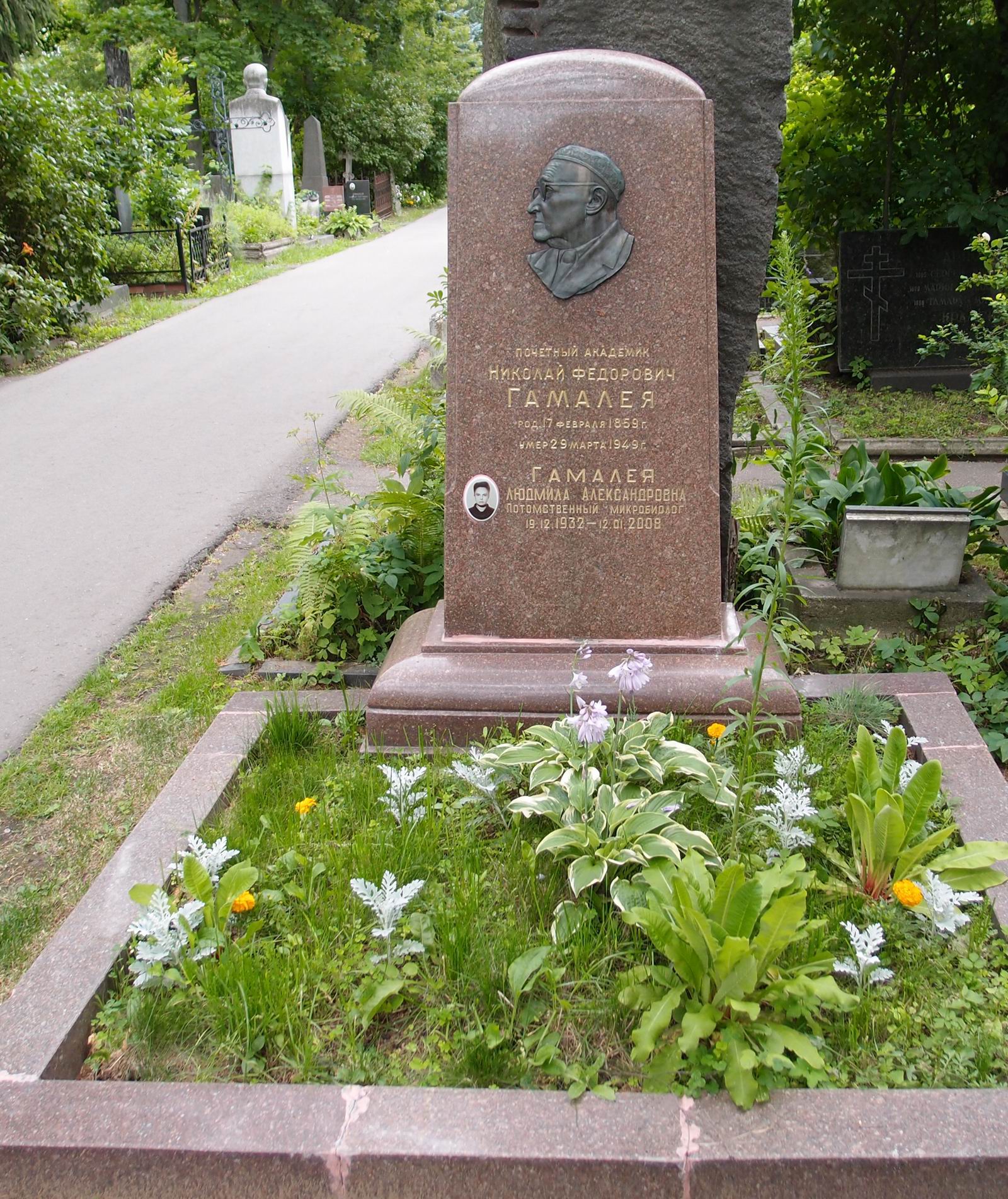 Памятник на могиле Гамалея Н.Ф. (1859–1949), на Новодевичьем кладбище (4–39–1).