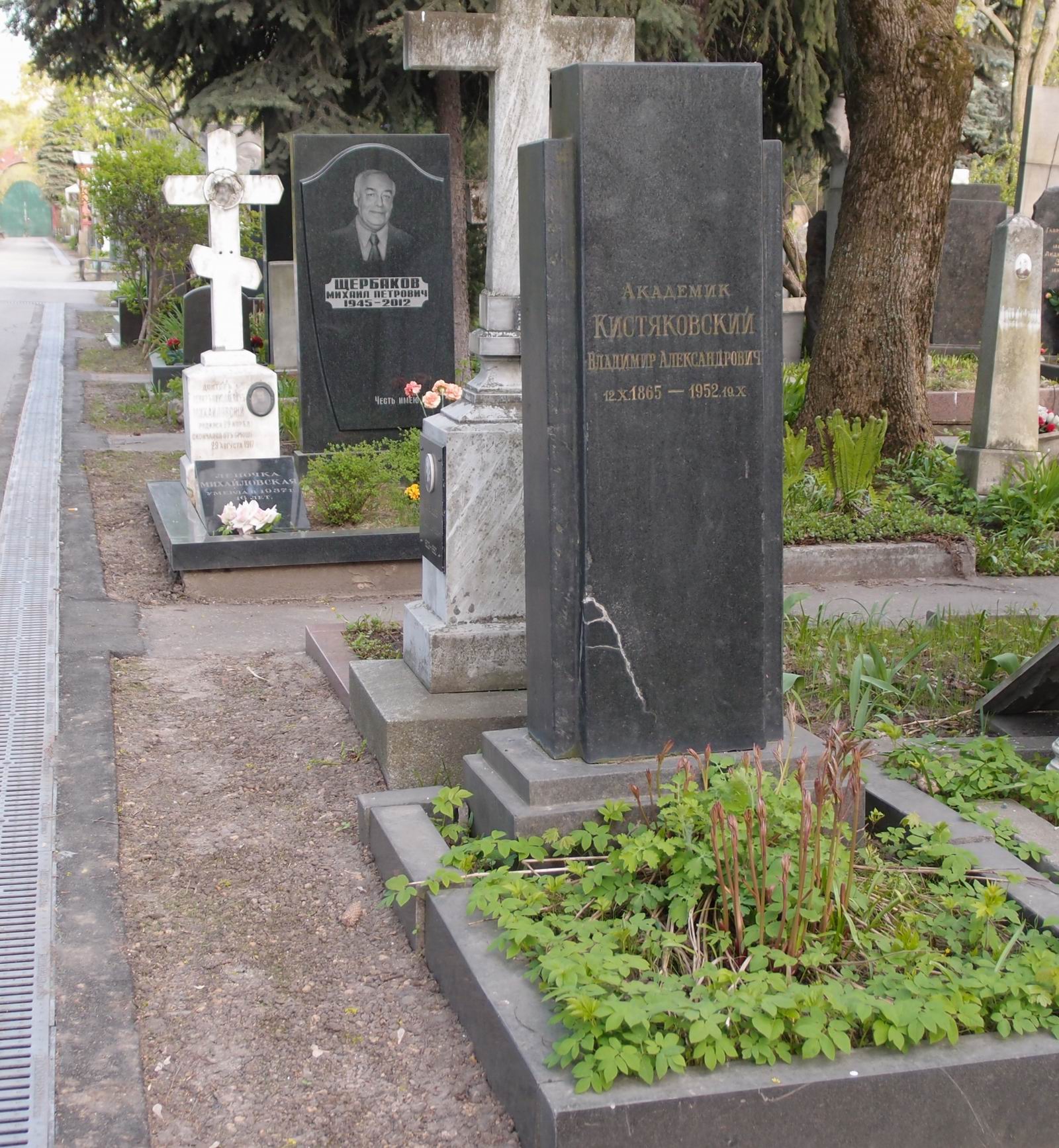 Памятник на могиле Кистяковского В.А. (1865-1952), на Новодевичьем кладбище (4-12-1).