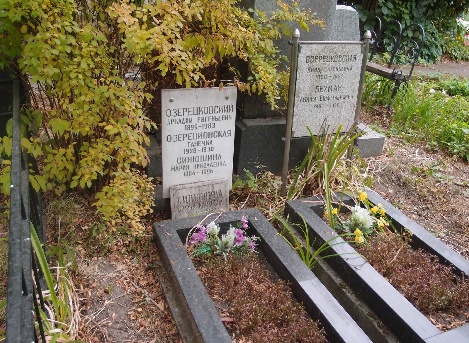 Памятник на могиле Озерецковской Н.Е. (1900–1982), на Новодевичьем кладбище (4–27–8).