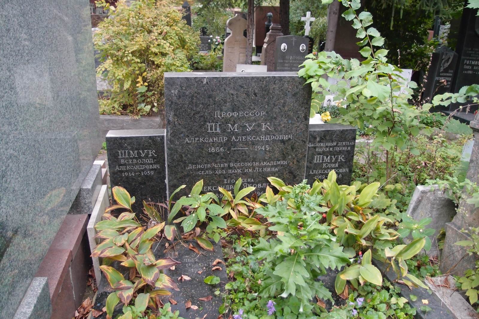 Памятник на могиле Шмука А.А. (1886–1945), на Новодевичьем кладбище (4–42–22).