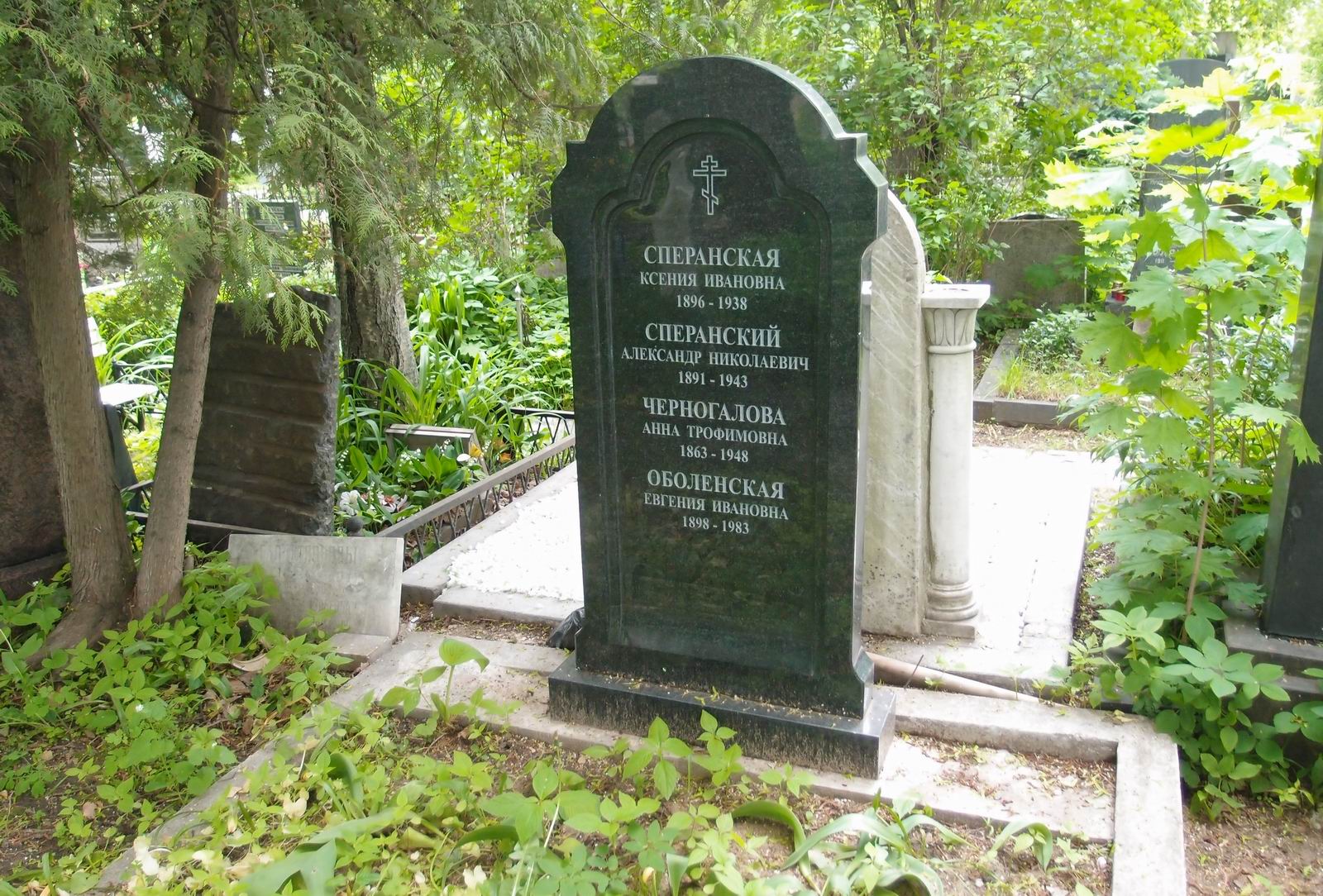 Памятник на могиле Сперанского А.Н. (1891–1943), на Новодевичьем кладбище (4–11–2).