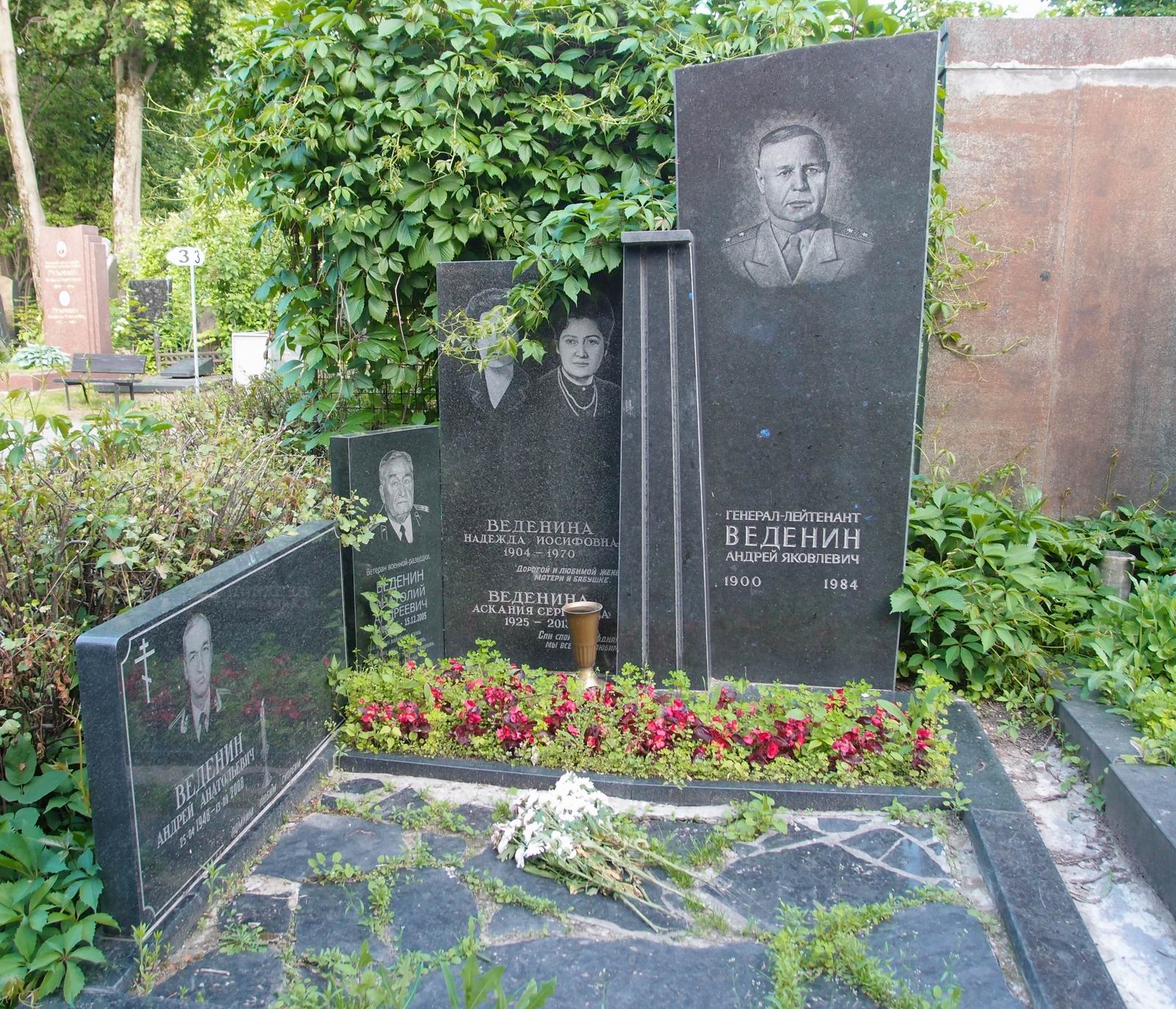 Памятник на могиле Веденина А.Я. (1900-1984), на Новодевичьем кладбище (4-61-1).