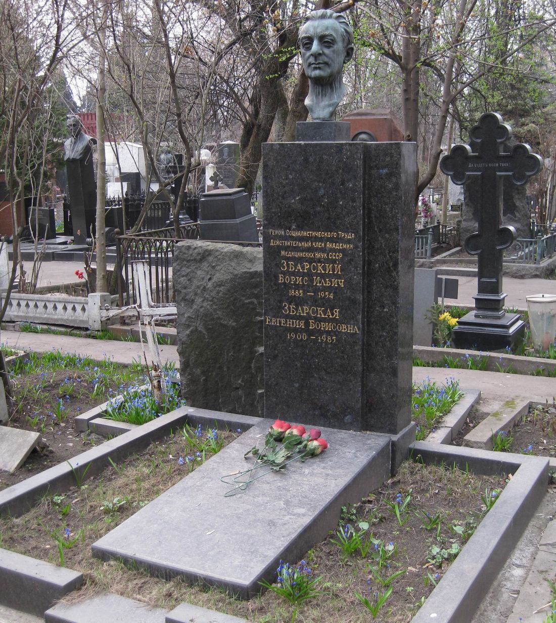 Памятник на могиле Збарского Б.И. (1885-1954), ск. Е. Рудаков, на Новодевичьем кладбище (4-15-3).