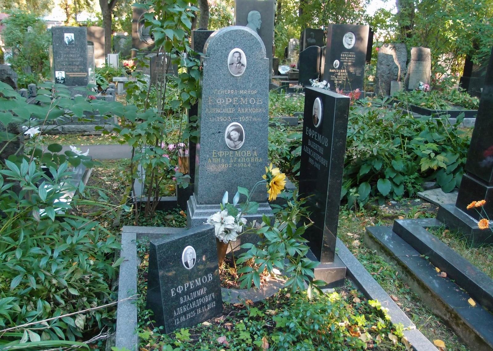Памятник на могиле Ефремова А.А. (1903–1957), на Новодевичьем кладбище (5–14–4).