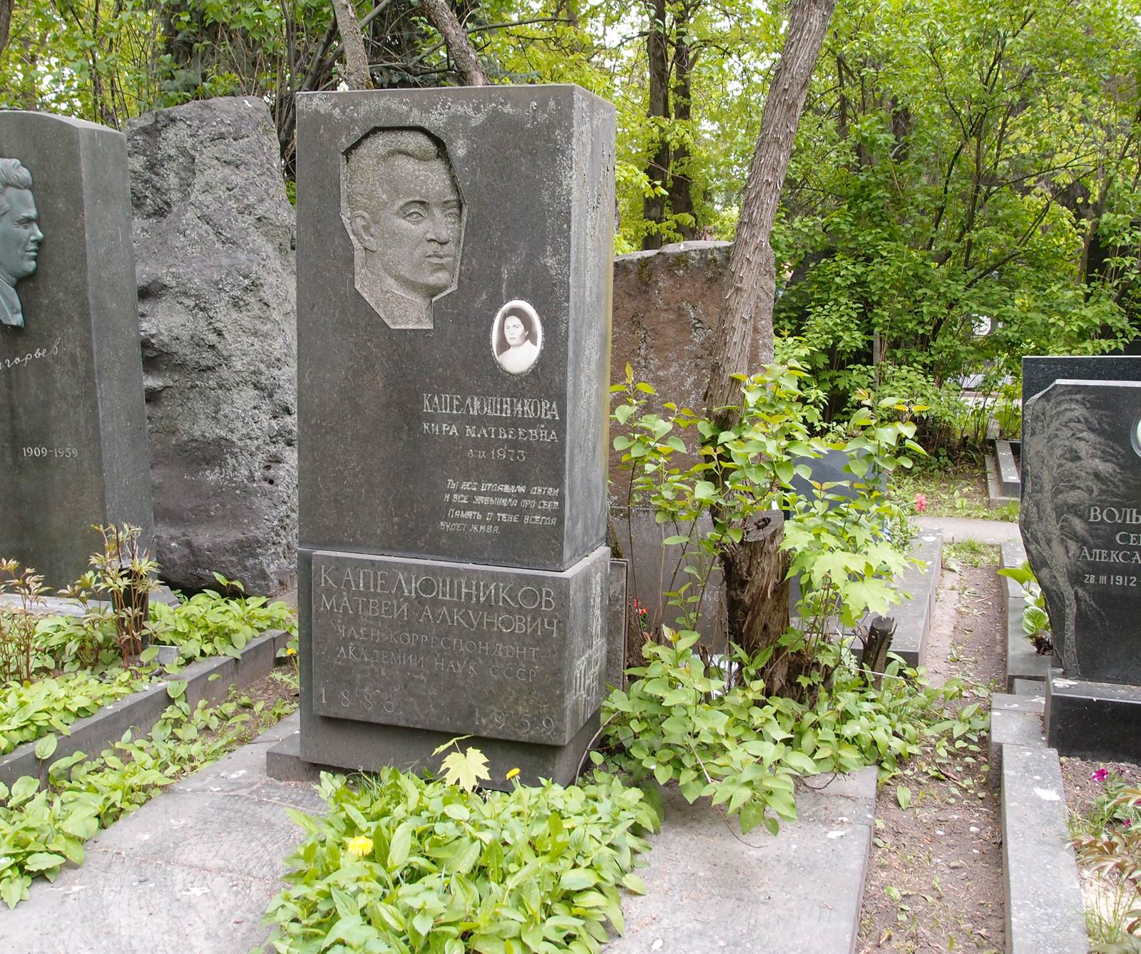 Памятник на могиле Капелюшникова М.А. (1886–1959), на Новодевичьем кладбище (5–35–8).