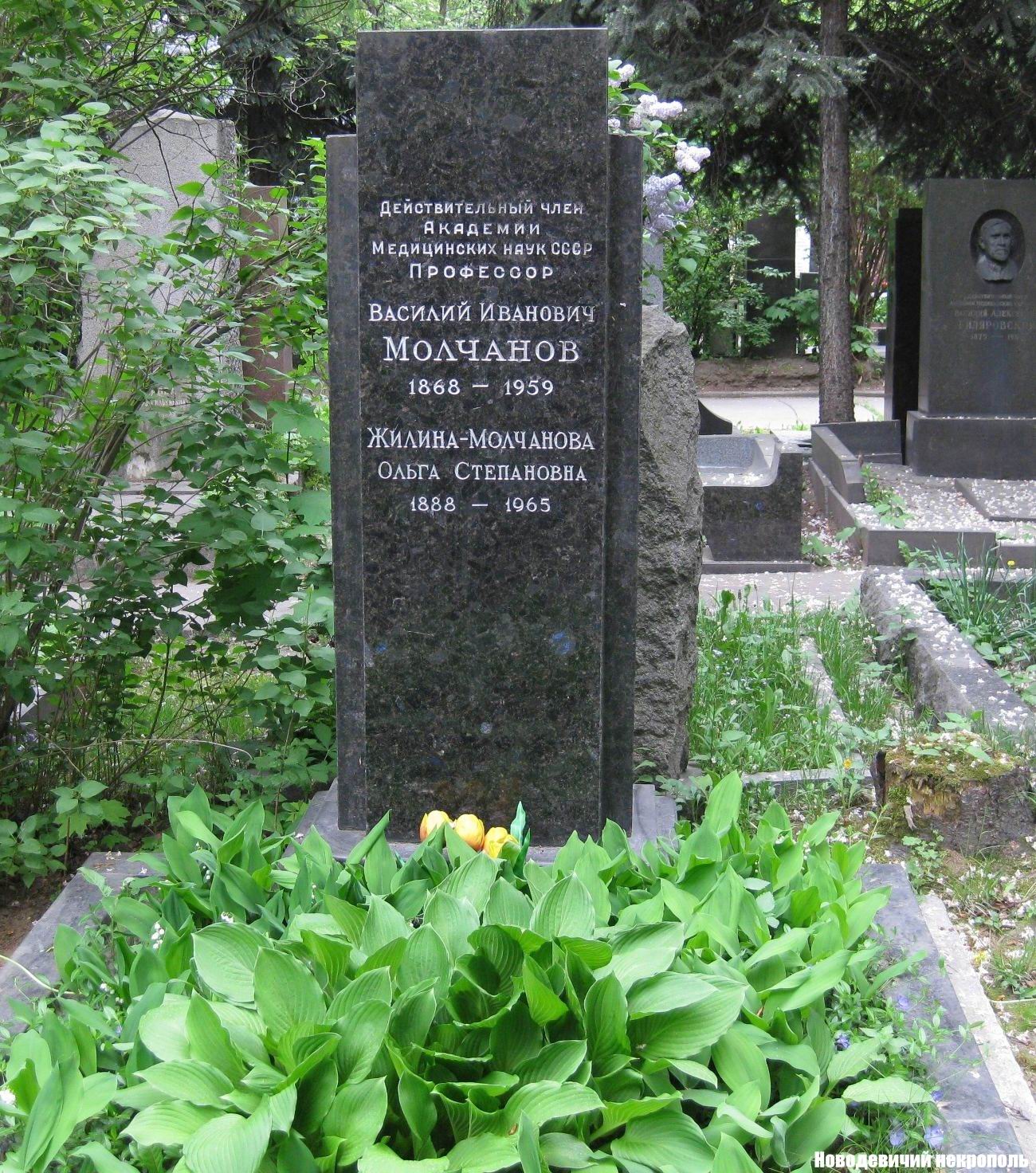 Памятник на могиле Молчанова В.И. (1868–1959), на Новодевичьем кладбище (5–34–6).